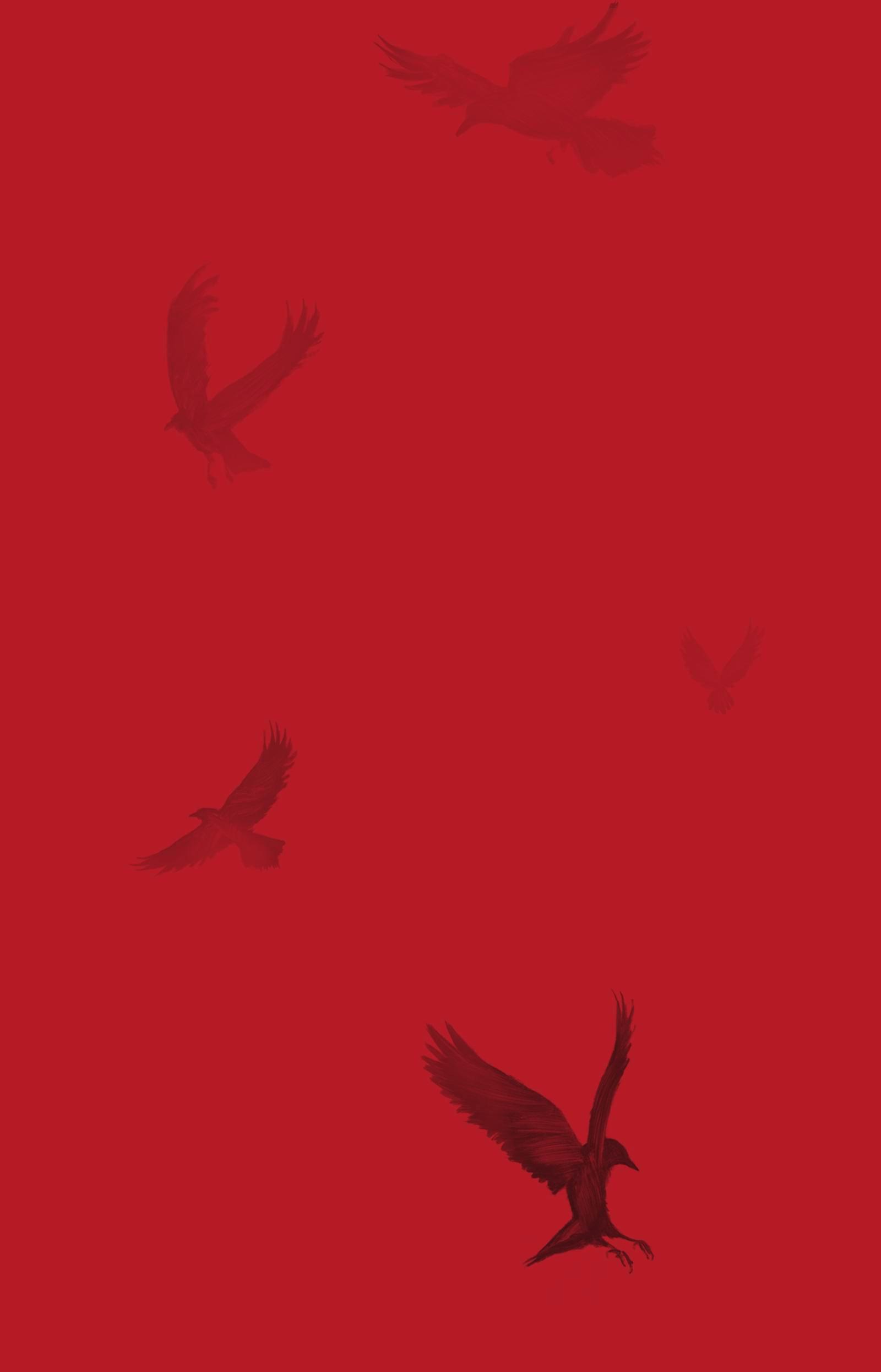 Beispielinhalt (Bild) Wer die Lilie träumt