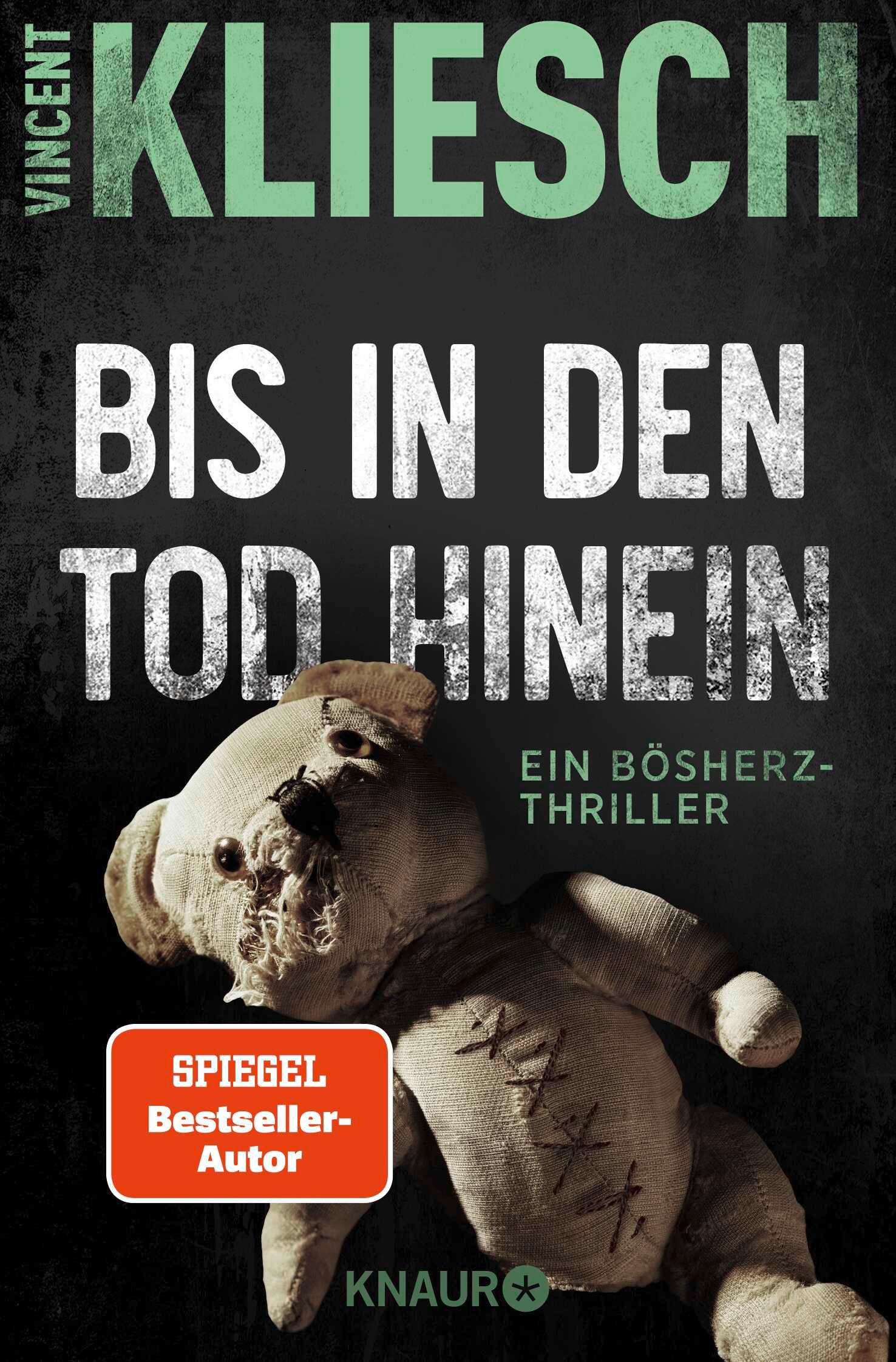 Vorderes Coverbild Bis in den Tod hinein