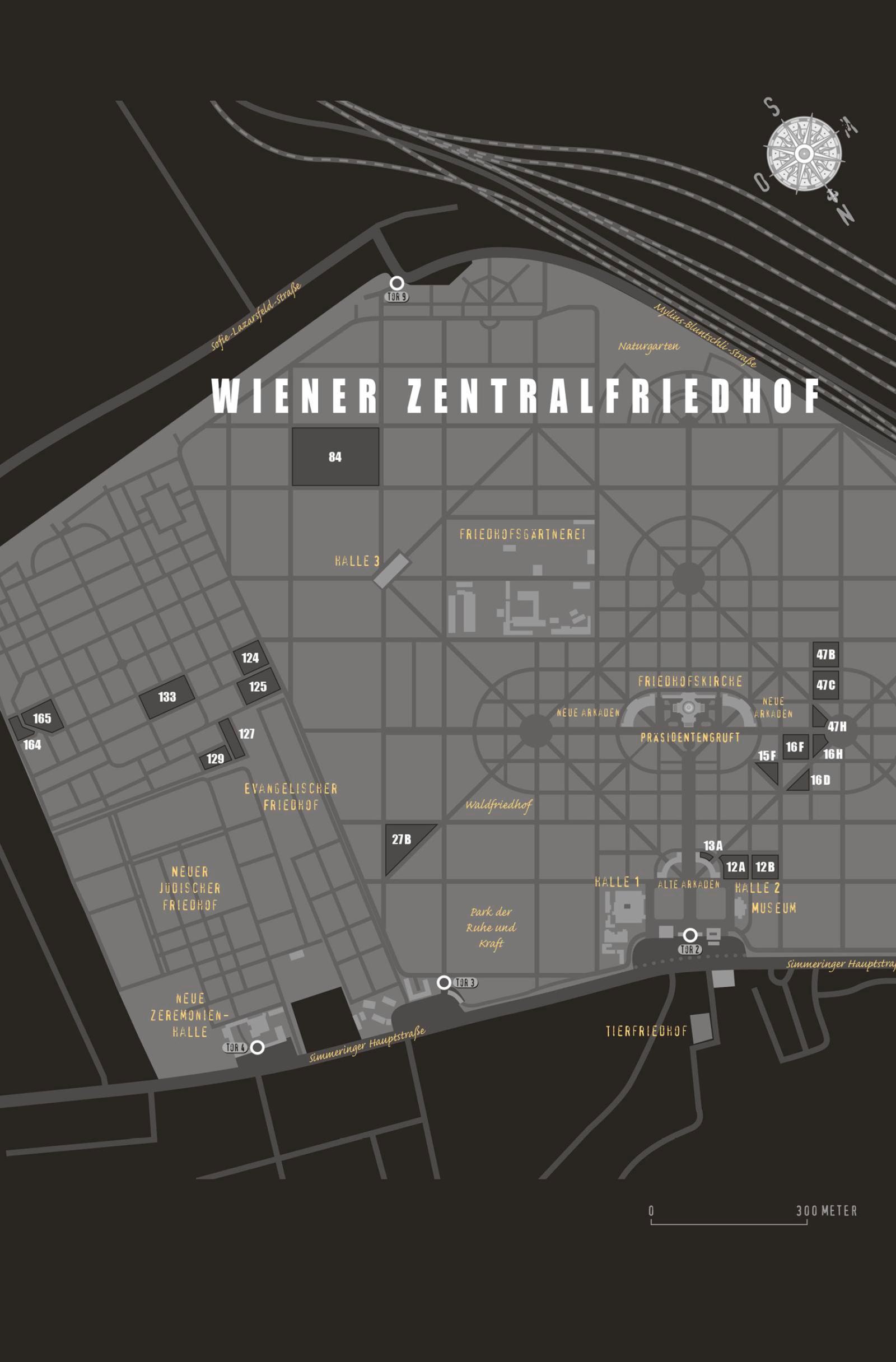 Beispielinhalt (Bild) VANITAS - Grau wie Asche