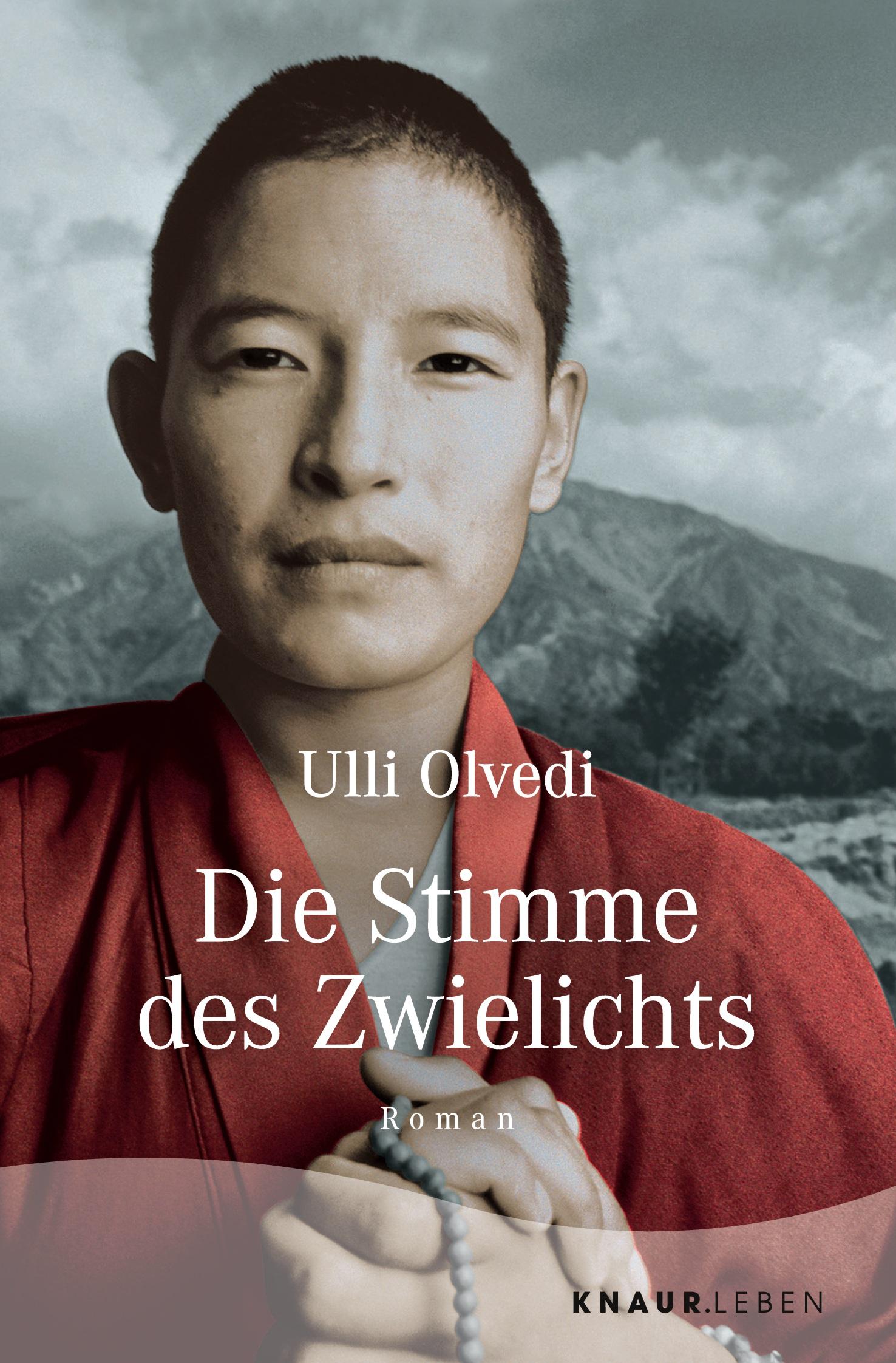 Vorderes Coverbild Die Stimme des Zwielichts