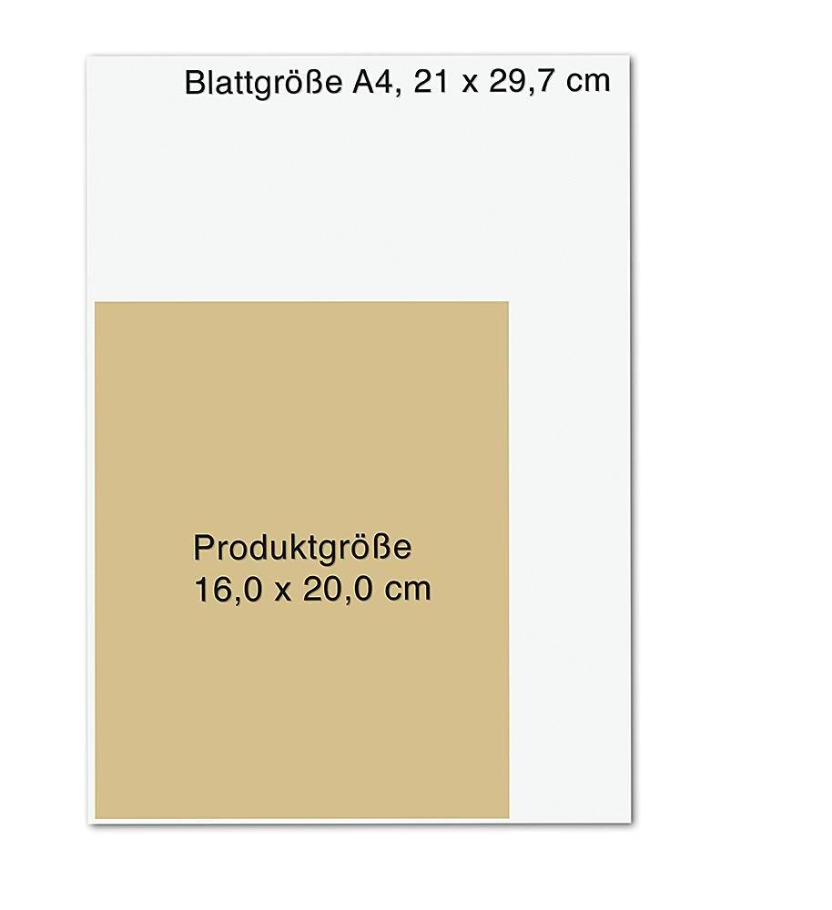 Beispielinhalt (Bild) Das HüftHeilbuch