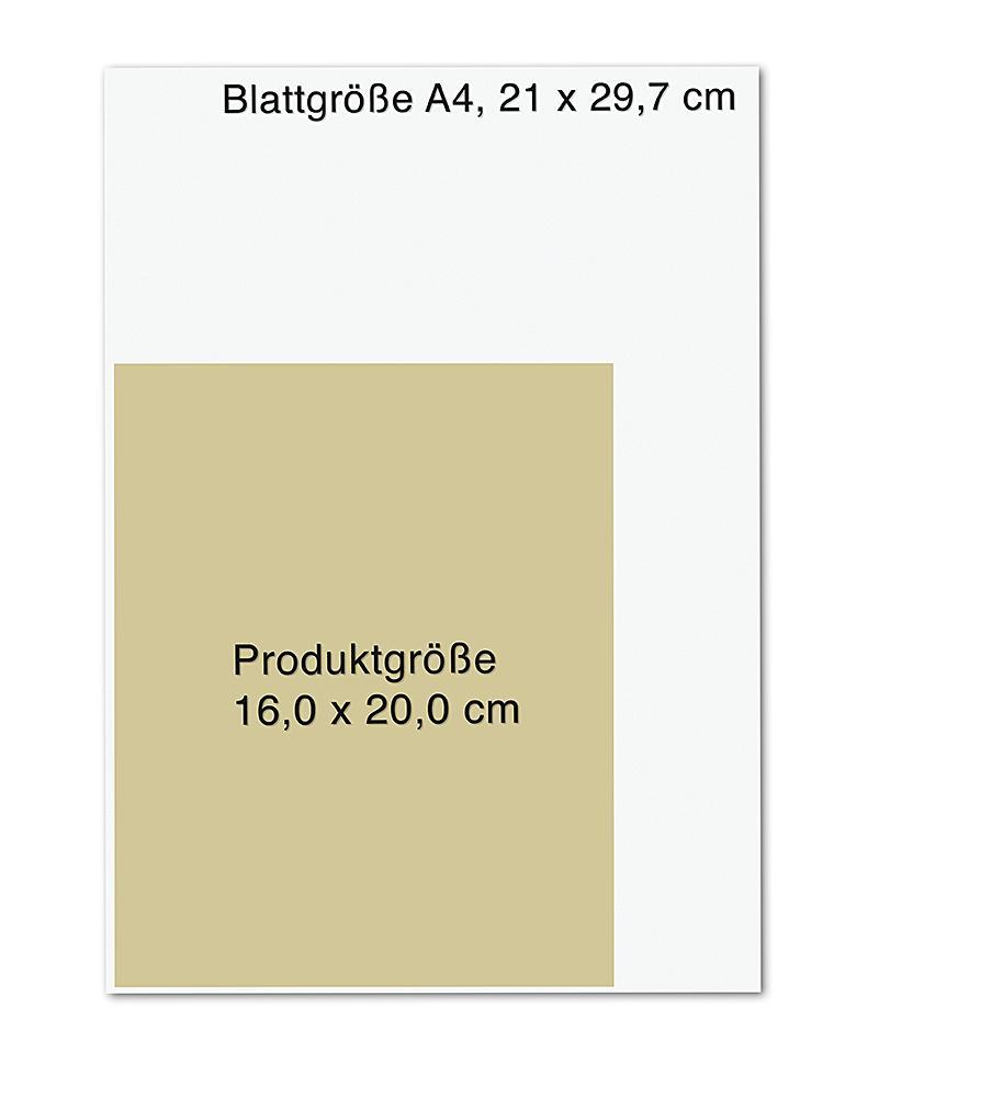 Beispielinhalt (Bild) Das HüftHeilbuch