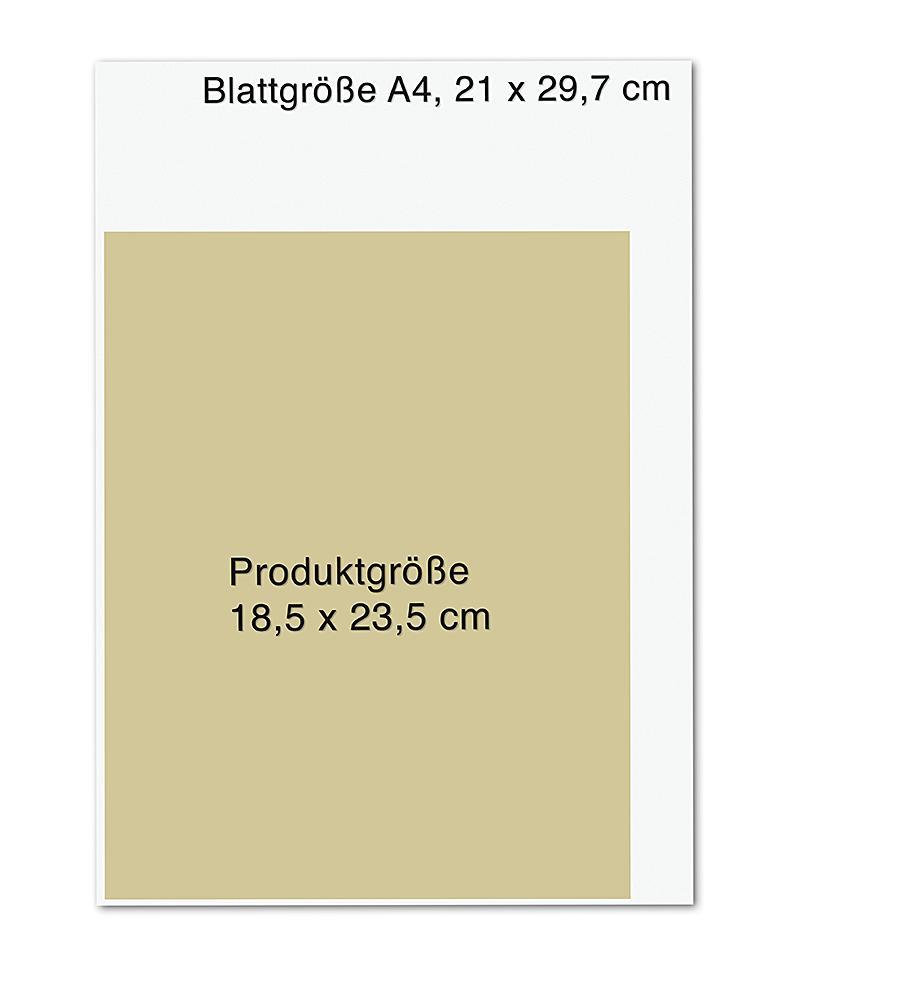 Beispielinhalt (Bild) TCM Your Life