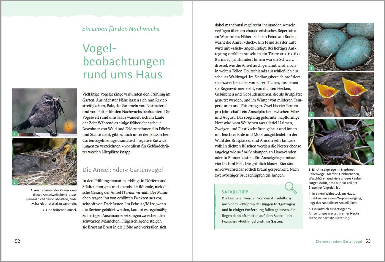 Beispielinhalt (Bild) Gartensafari