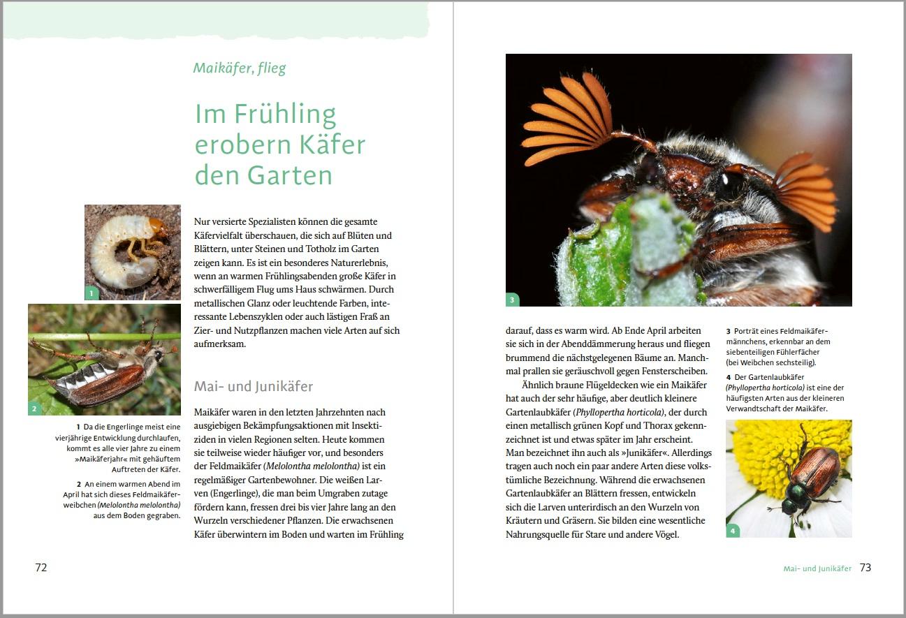 Beispielinhalt (Bild) Gartensafari