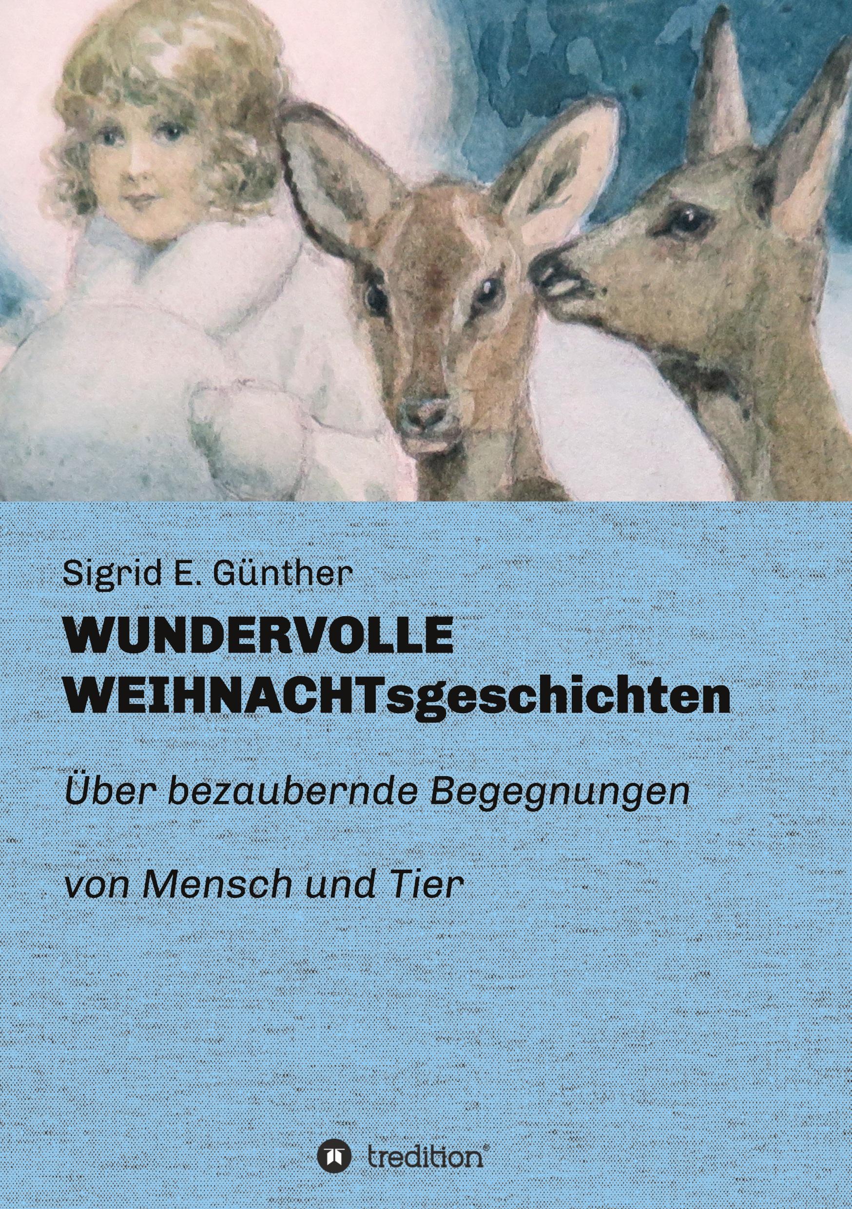Vorderes Coverbild WUNDERVOLLE WEIHNACHTsgeschichten