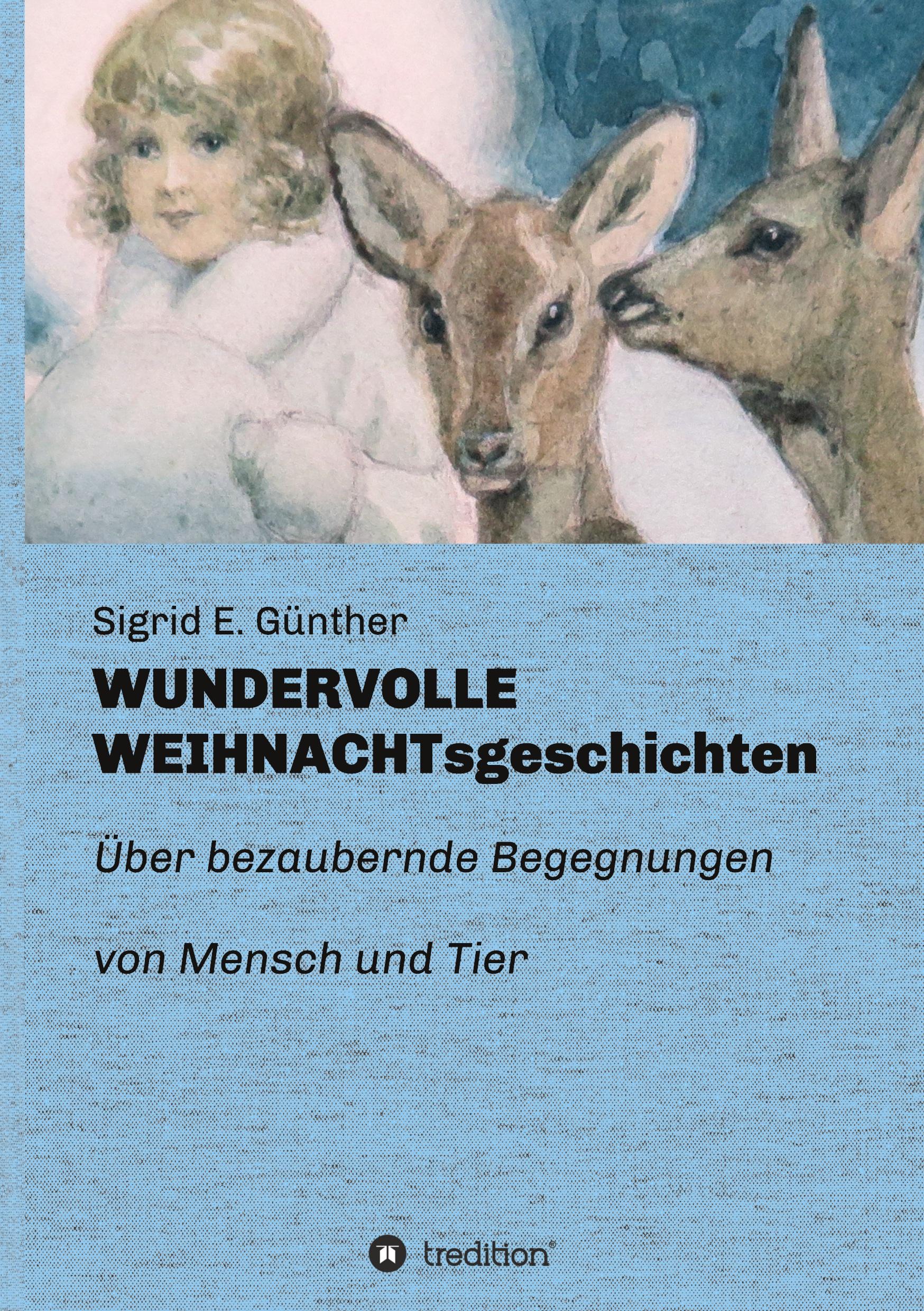 Vorderes Coverbild WUNDERVOLLE WEIHNACHTsgeschichten