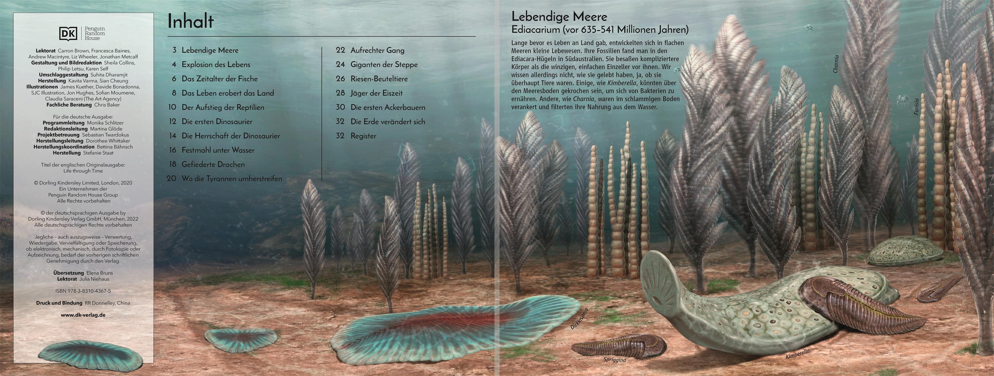 Beispielinhalt (Bild) Leben im Lauf der Zeit