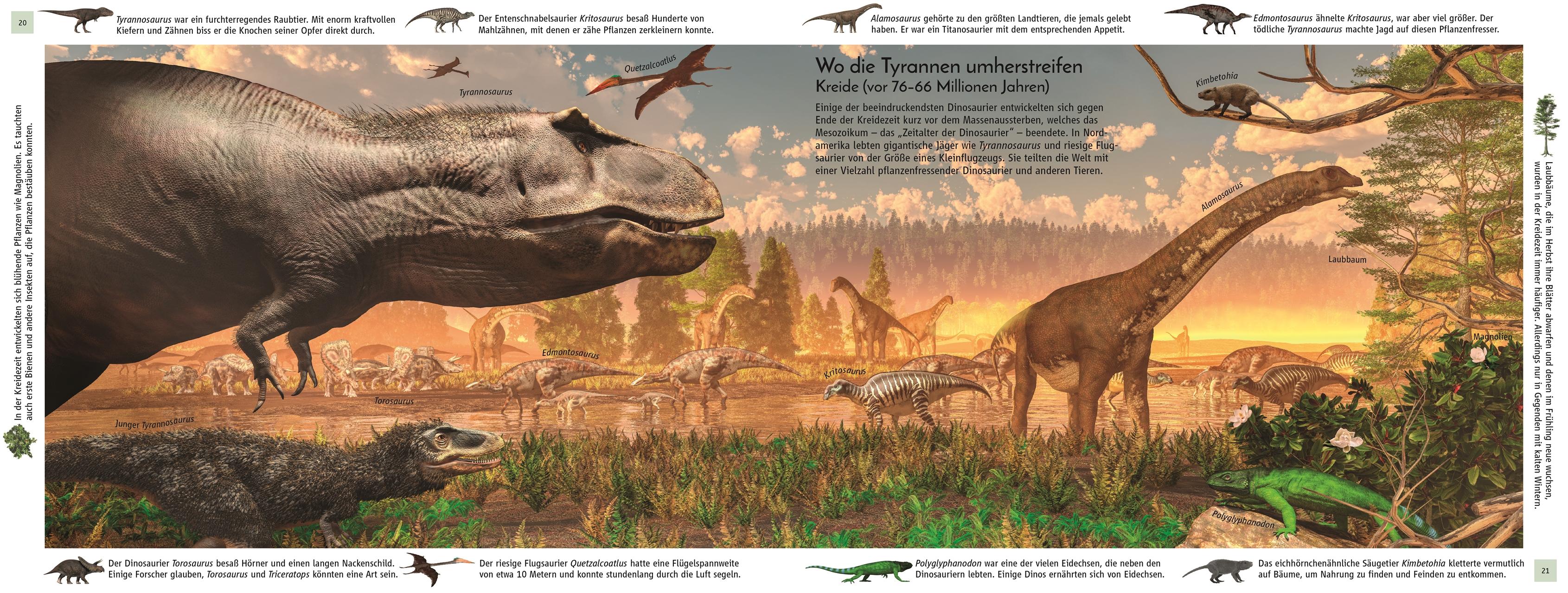 Beispielinhalt (Bild) Leben im Lauf der Zeit