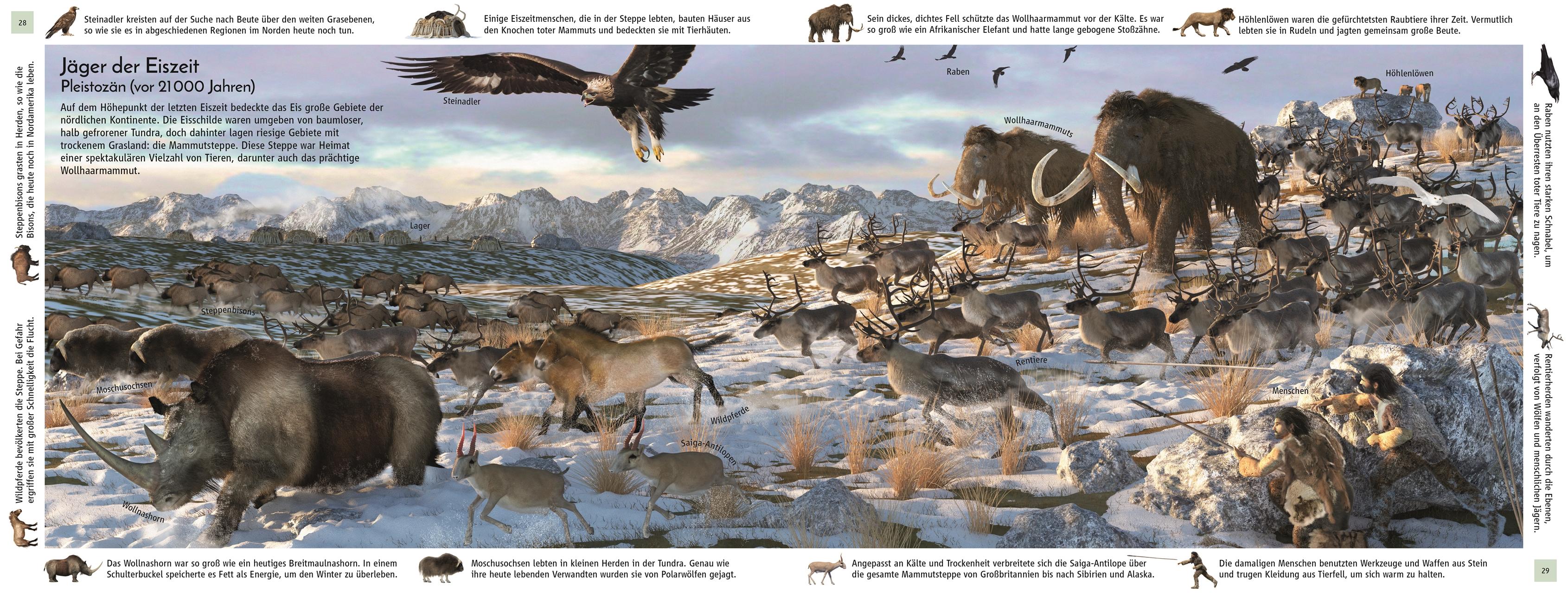 Beispielinhalt (Bild) Leben im Lauf der Zeit