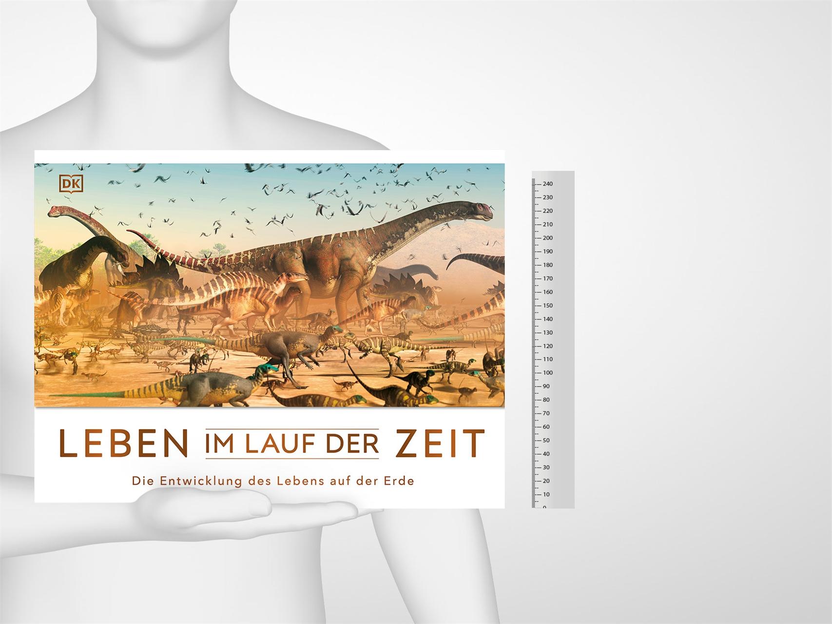 Beispielinhalt (Bild) Leben im Lauf der Zeit