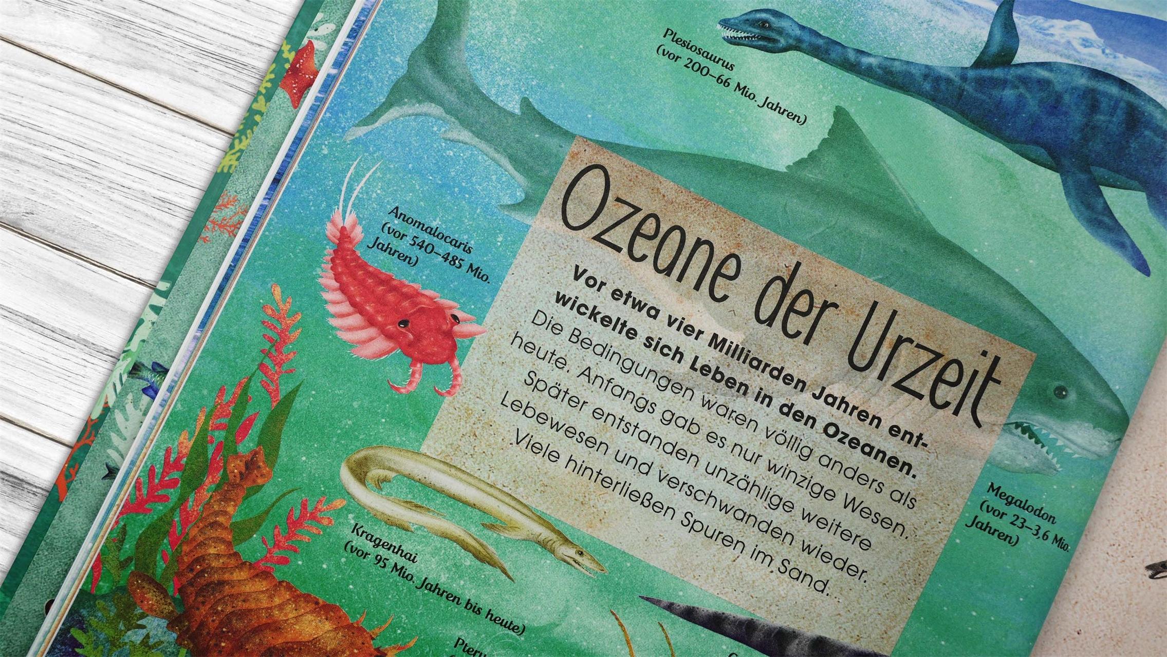 Beispielinhalt (Bild) Die verborgene Welt der Ozeane