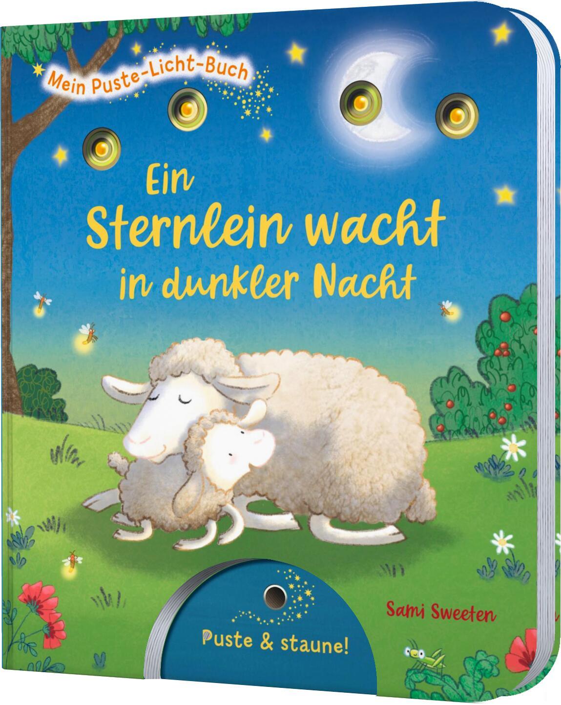 Vorderes Coverbild Mein Puste-Licht-Buch: Ein Sternlein wacht in dunkler Nacht