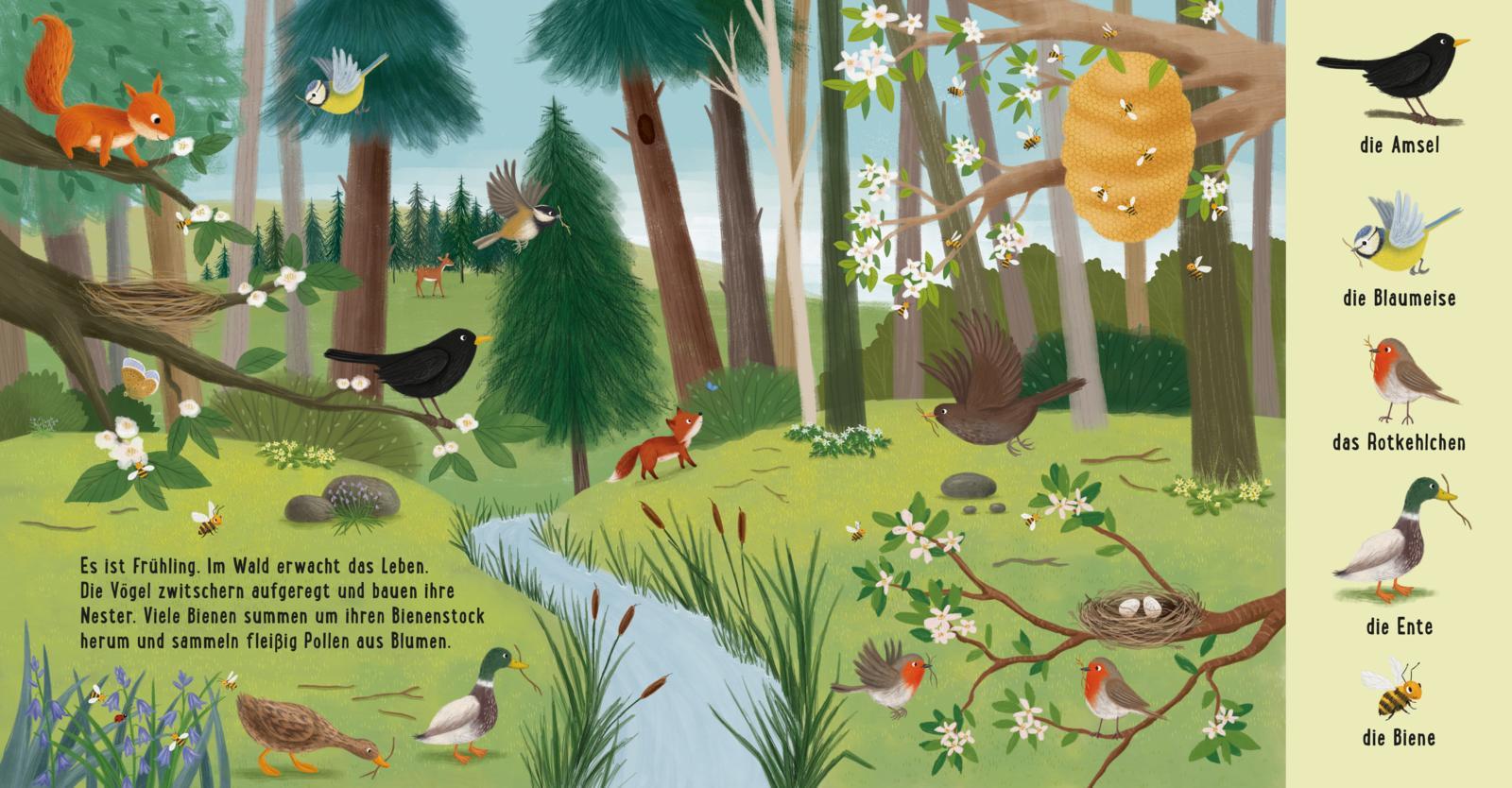 Beispielinhalt (Bild) Mein erstes Natur-Wimmelbuch: Tiere im Wald