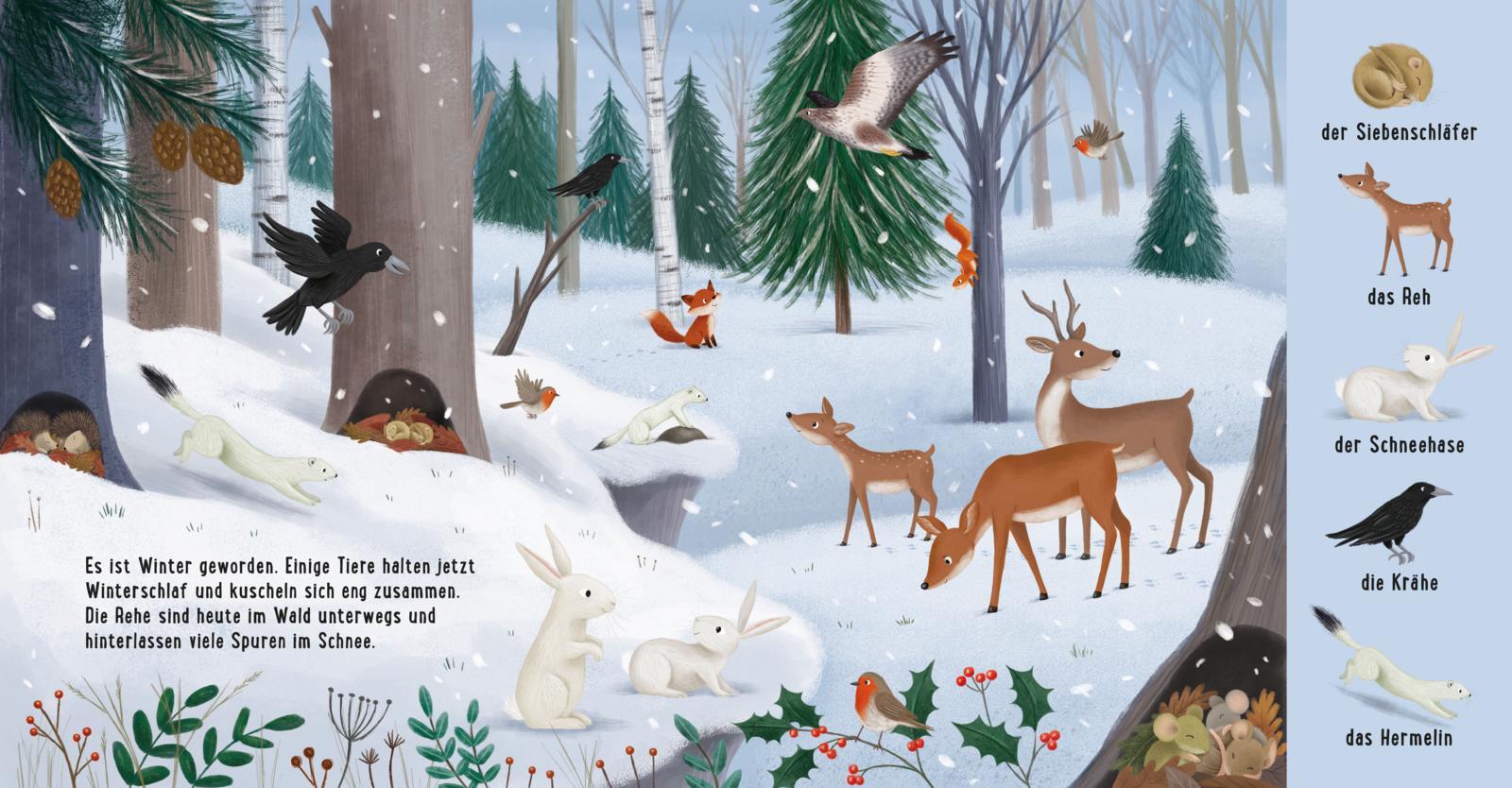 Beispielinhalt (Bild) Mein erstes Natur-Wimmelbuch: Tiere im Wald