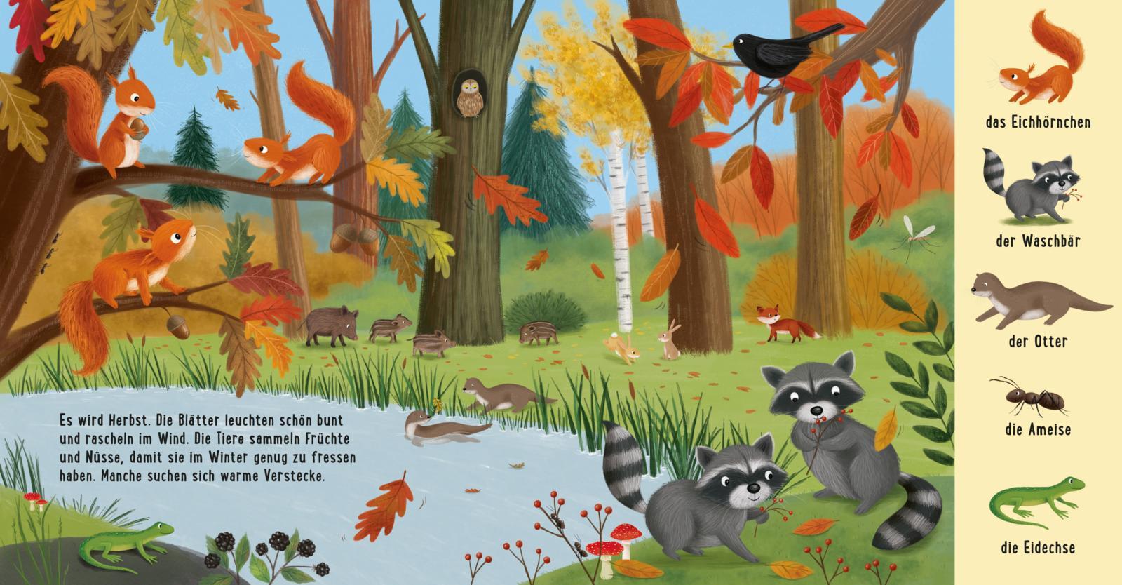 Beispielinhalt (Bild) Mein erstes Natur-Wimmelbuch: Tiere im Wald