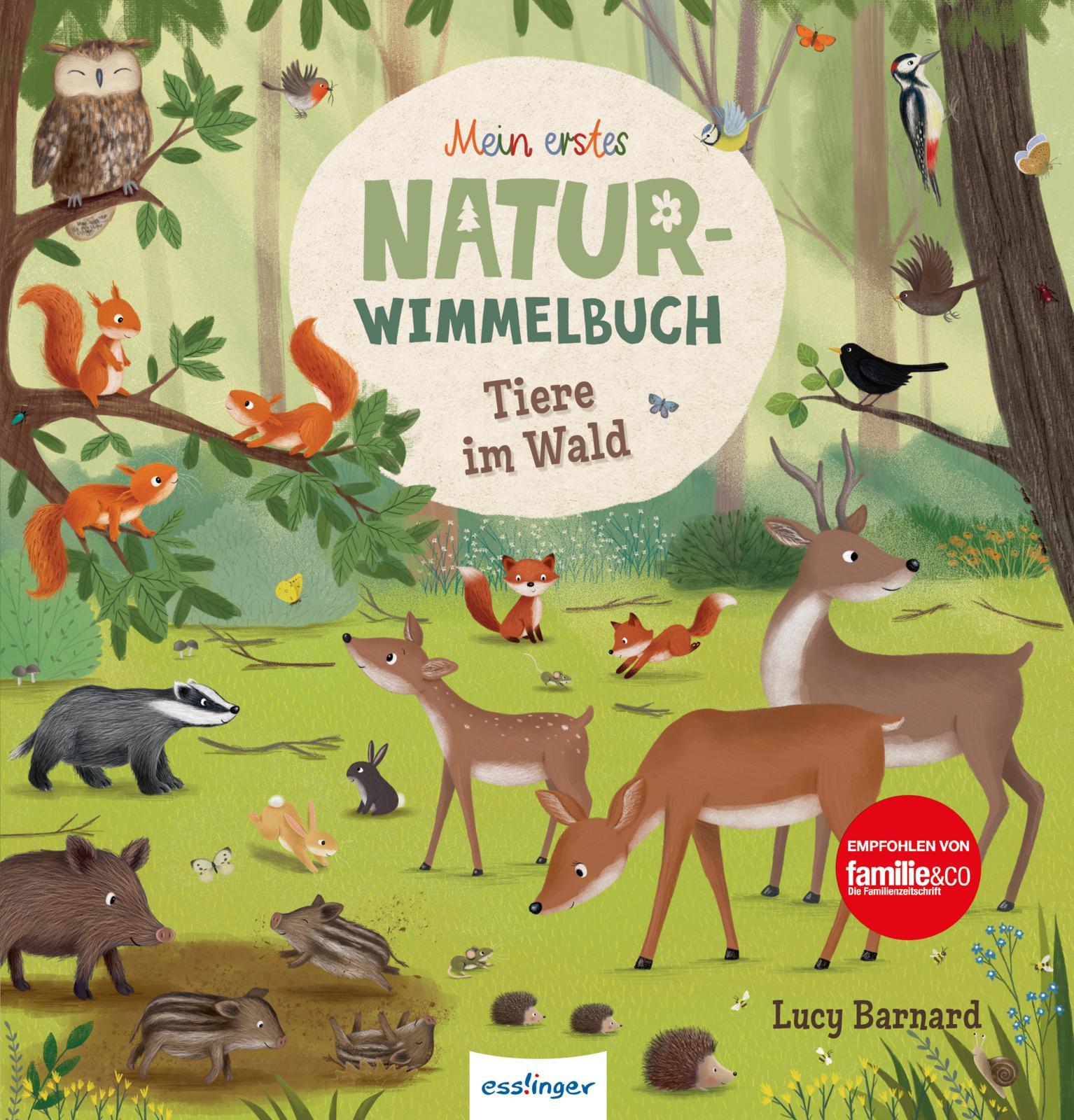 Vorderes Coverbild Mein erstes Natur-Wimmelbuch: Tiere im Wald