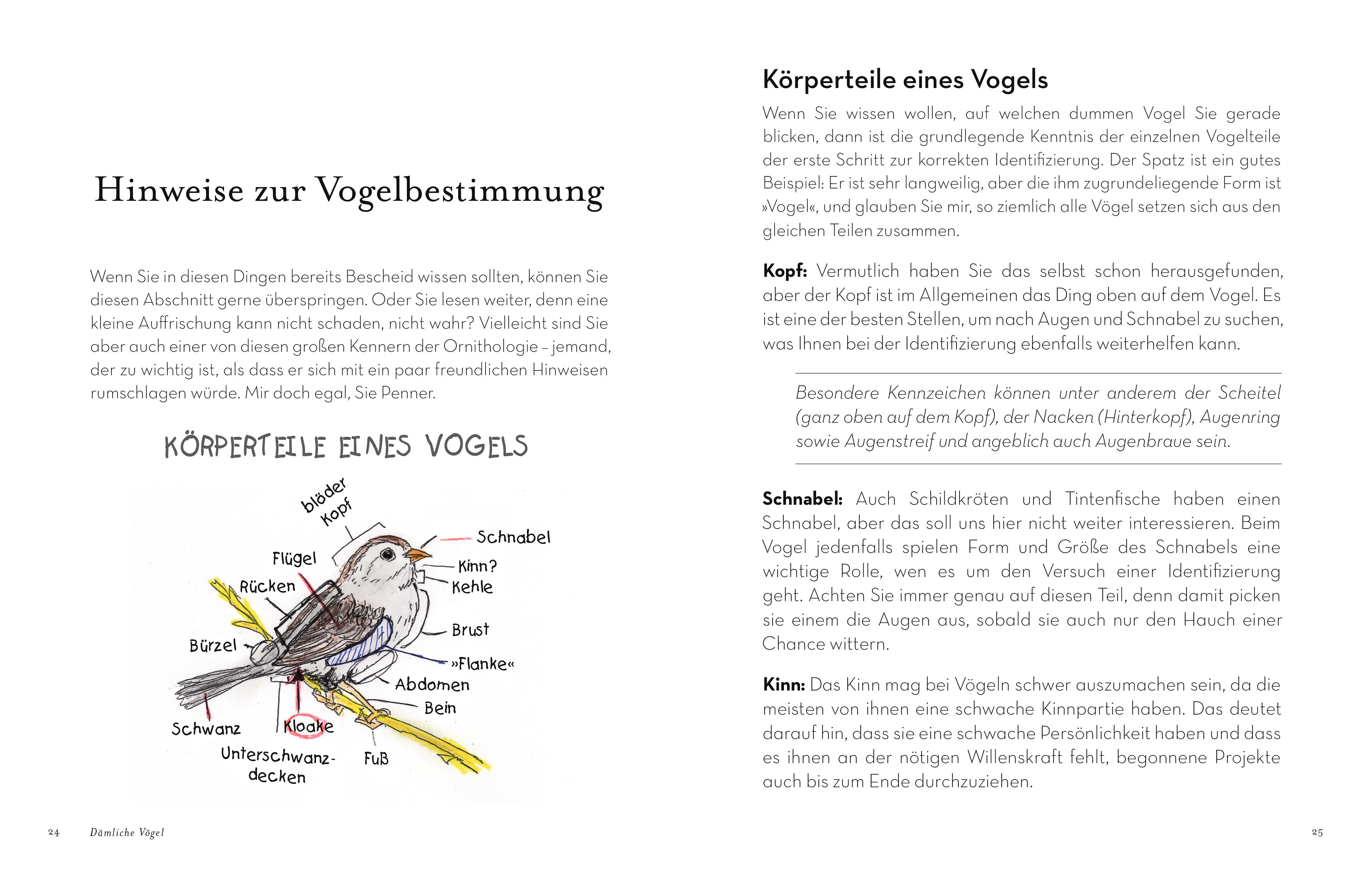 Beispielinhalt (Bild) Dämliche Vögel