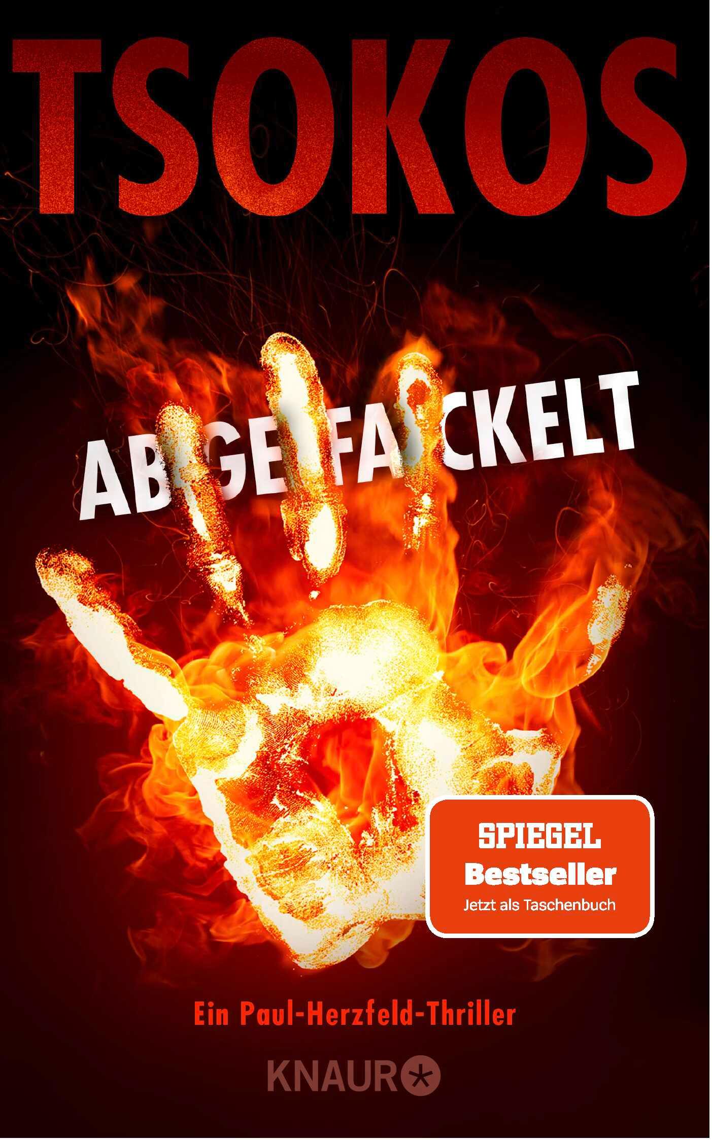 Vorderes Coverbild Abgefackelt