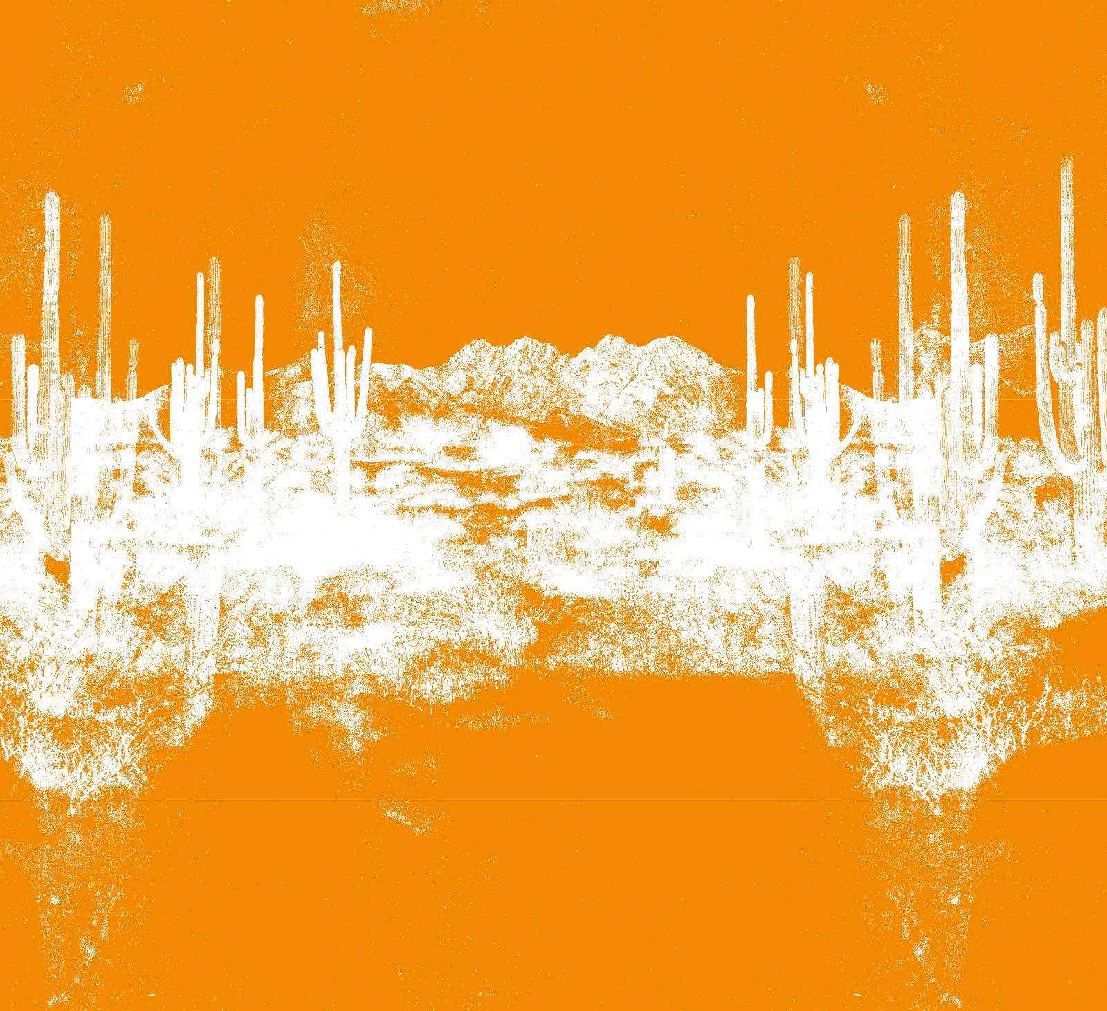 Beispielinhalt (Bild) Old Bones - Die Toten von Roswell