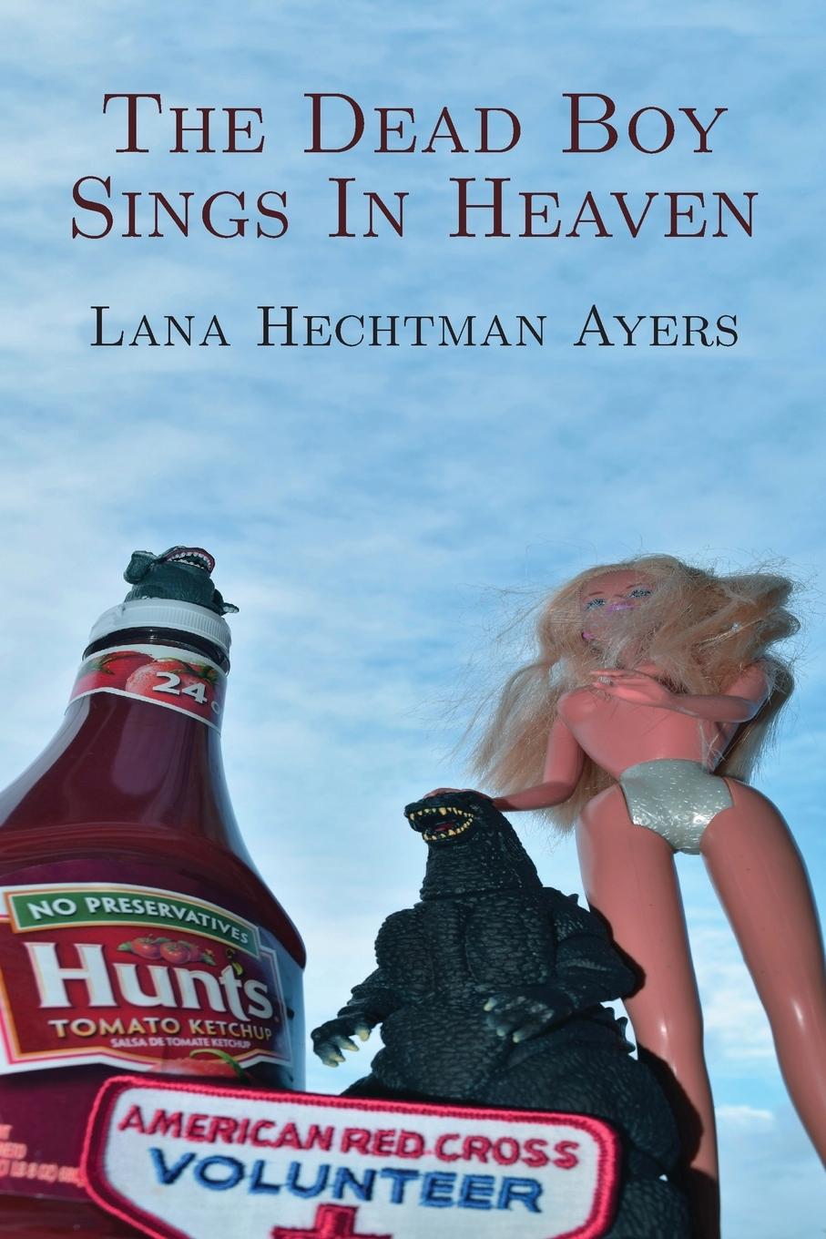 Vorderes Coverbild The Dead Boy Sings In Heaven