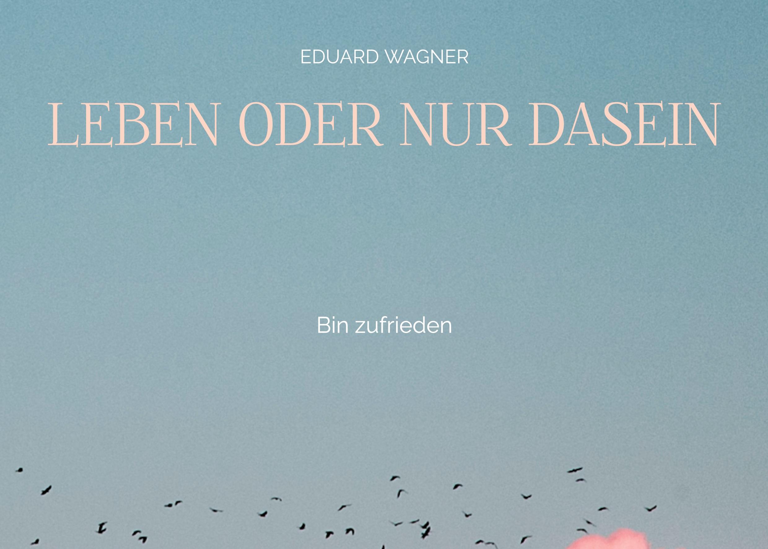 Vorderes Coverbild Leben oder nur Dasein
