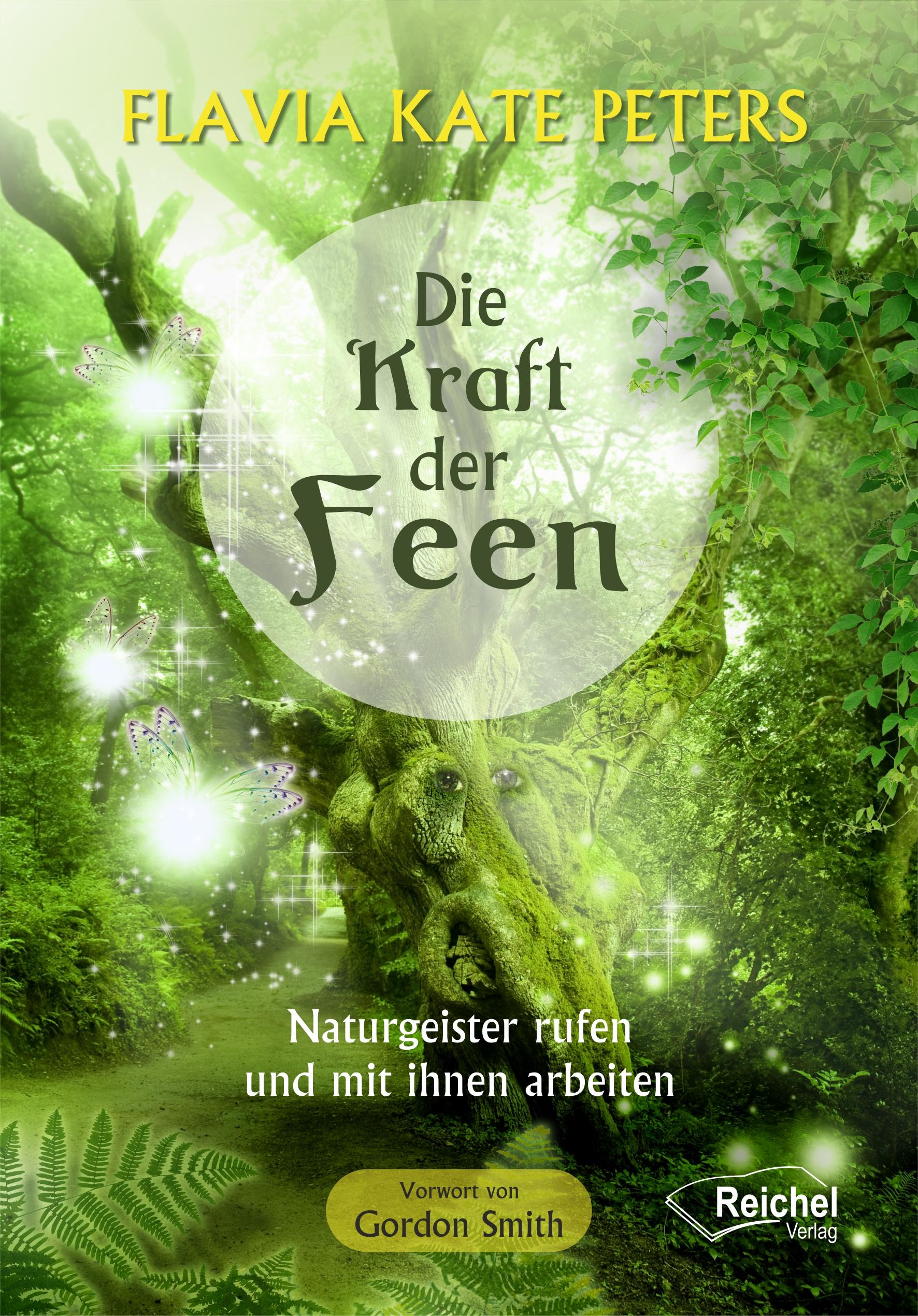 Vorderes Coverbild Die Kraft der Feen