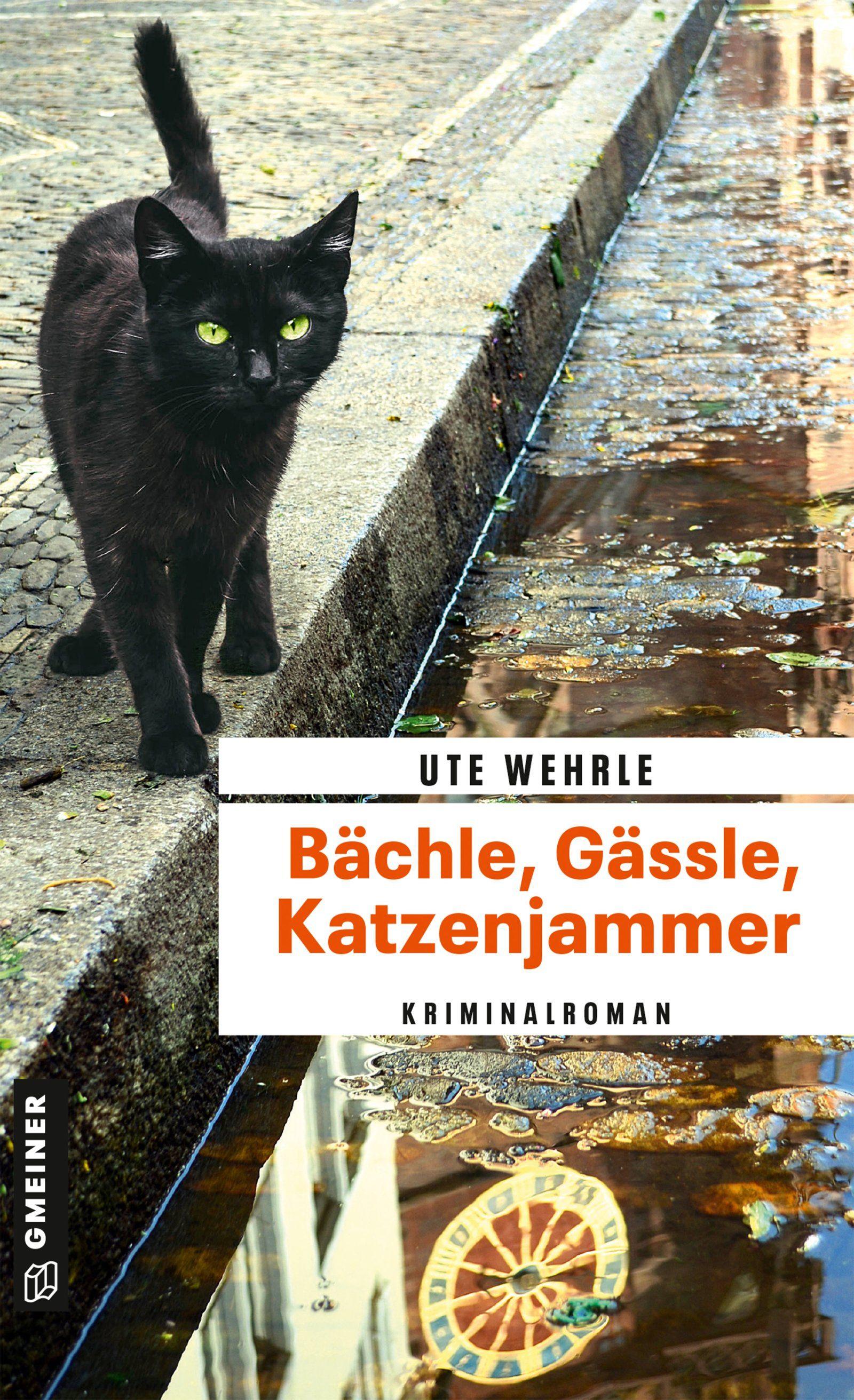 Vorderes Coverbild Bächle, Gässle, Katzenjammer