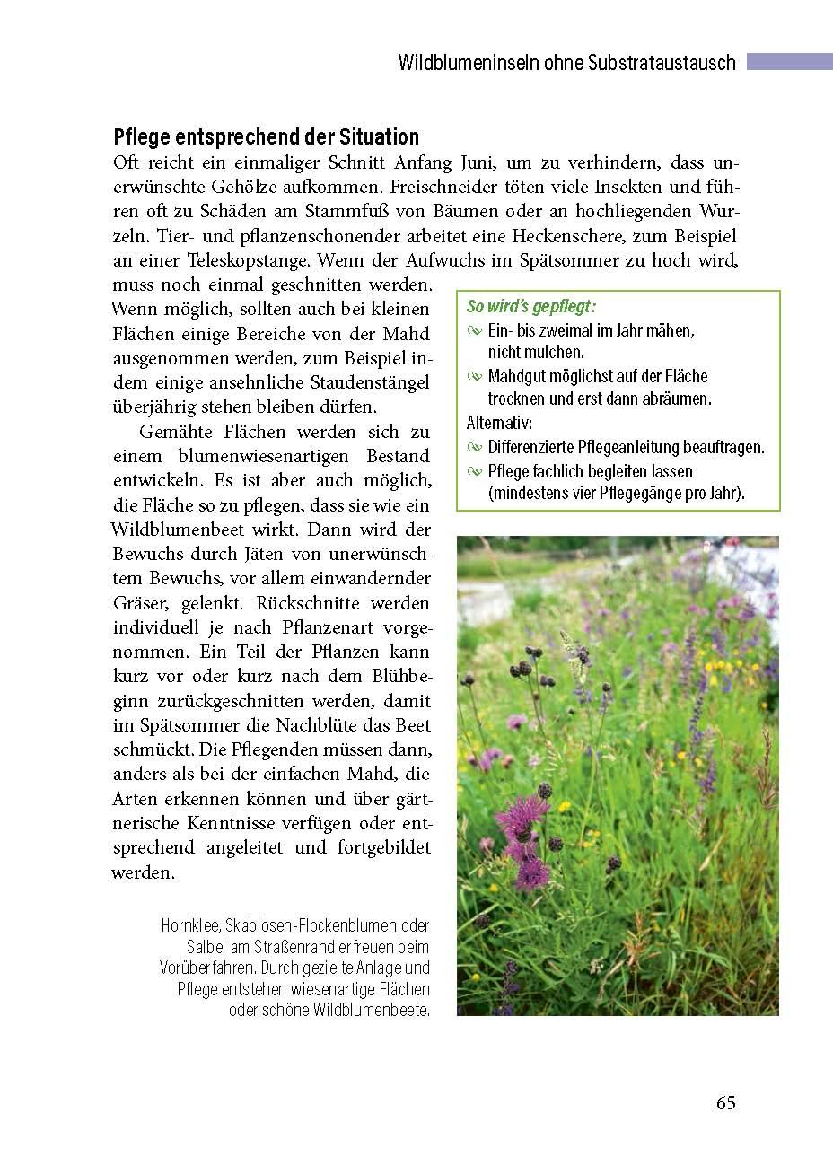 Beispielinhalt (Bild) Öffentliche und gewerbliche Grünflächen naturnah
