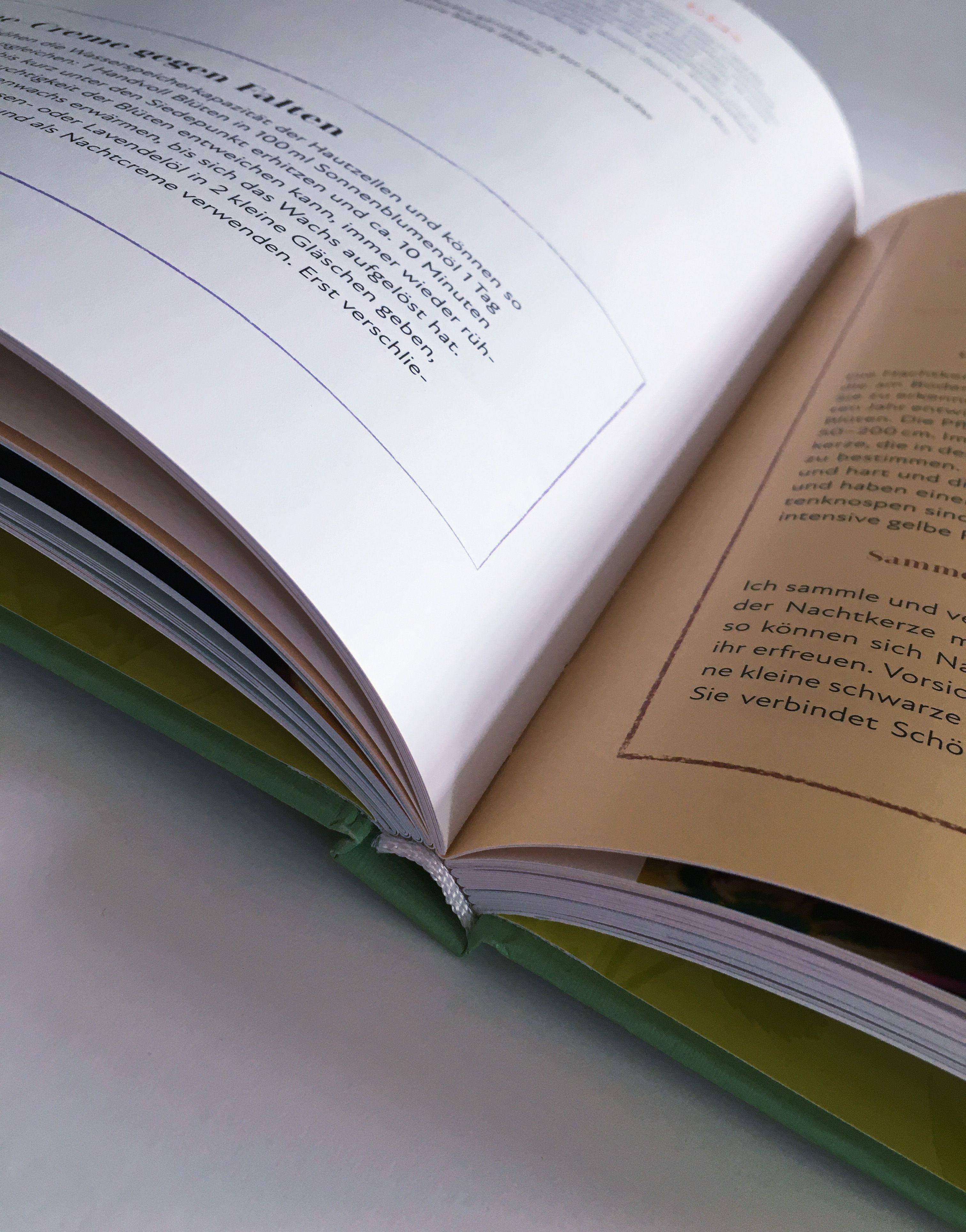 Beispielinhalt (Bild) Unkrautgenuss & Wildpflanzenküche