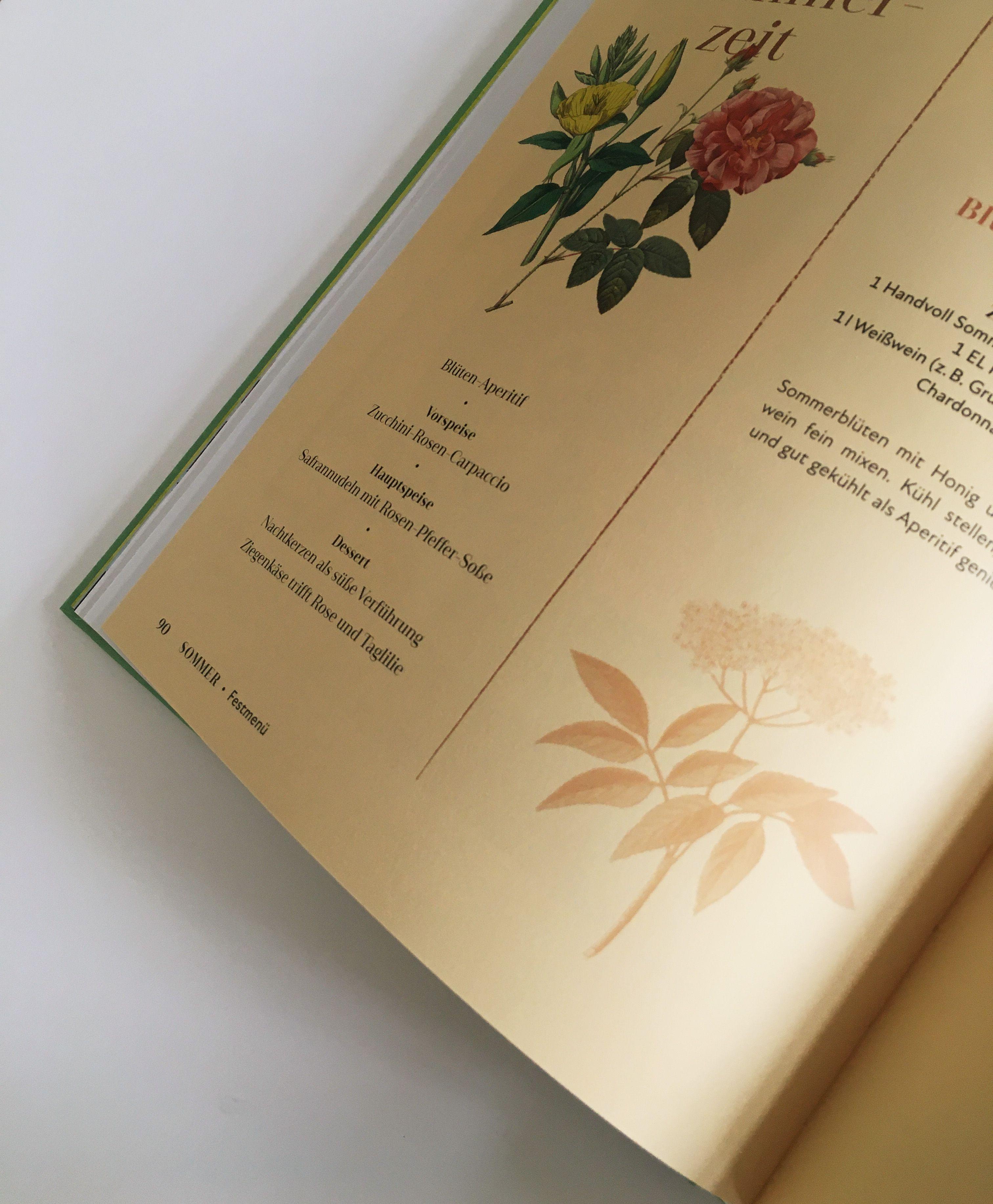 Beispielinhalt (Bild) Unkrautgenuss & Wildpflanzenküche