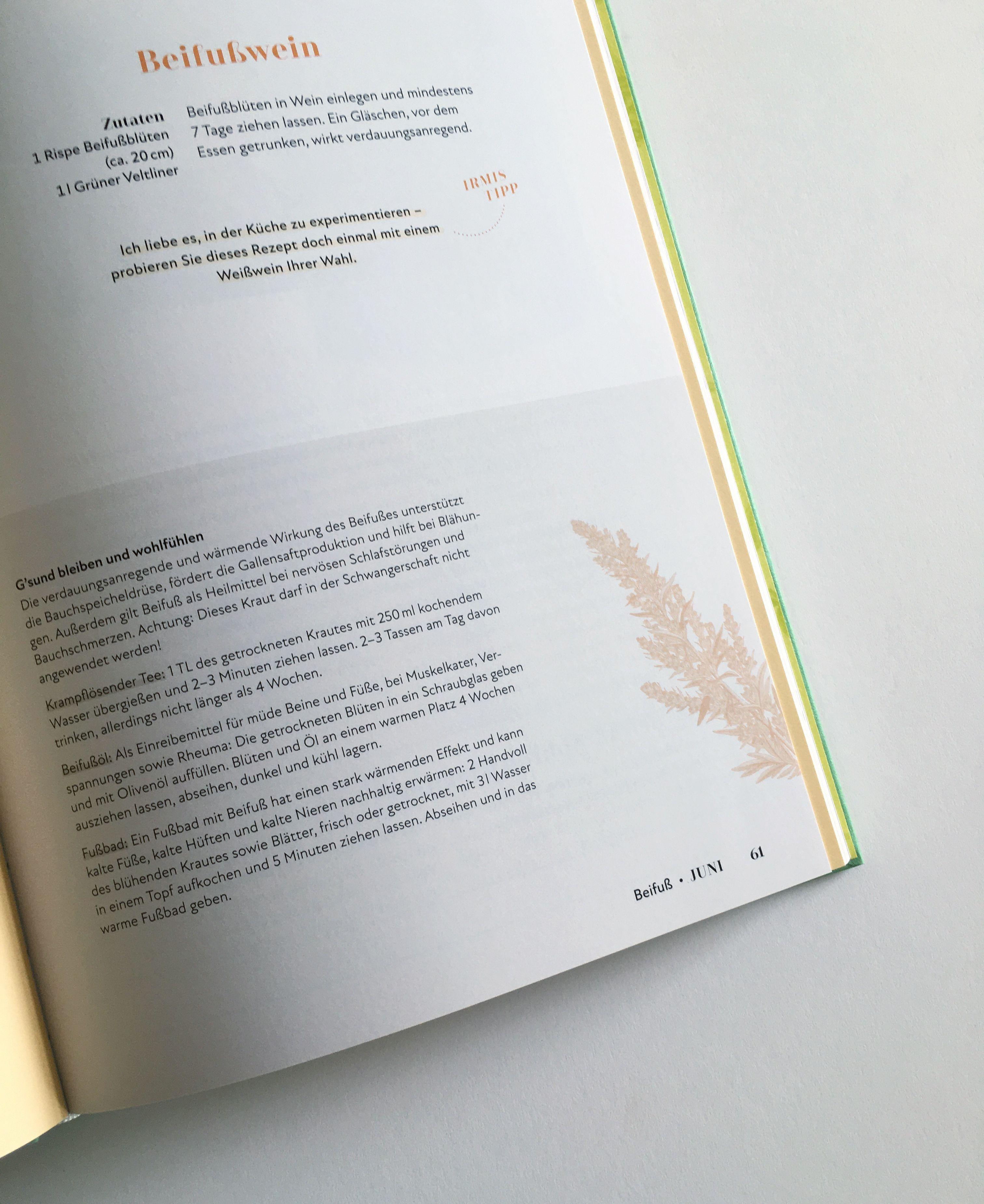 Beispielinhalt (Bild) Unkrautgenuss & Wildpflanzenküche