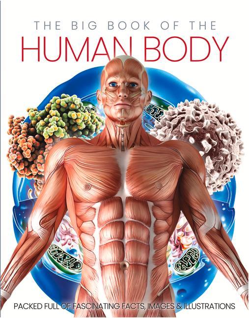 Vorderes Coverbild The Big Book of the Human Body