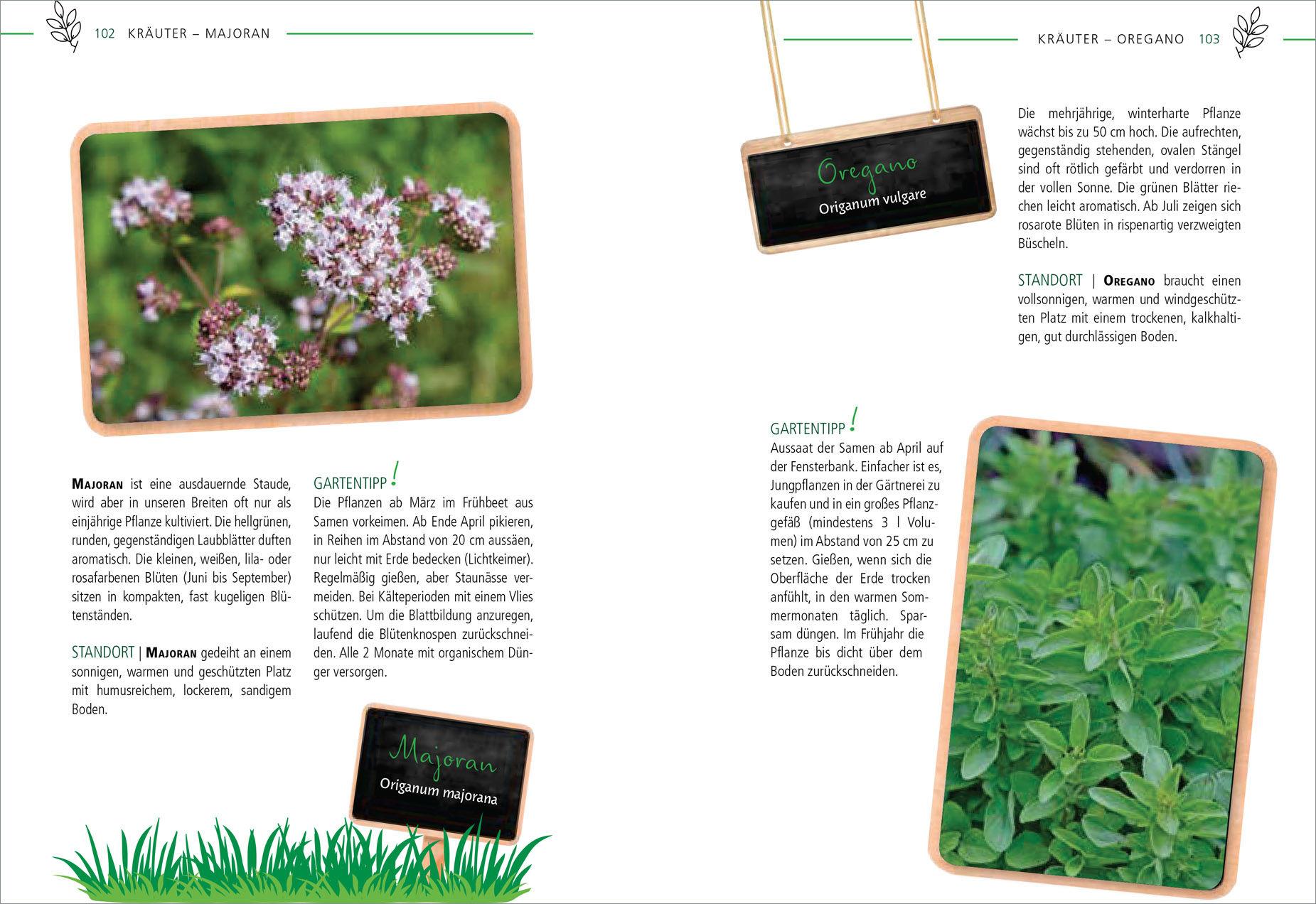 Beispielinhalt (Bild) Die 100 besten Pflanzen für Vögel, Bienen, Schmetterlinge