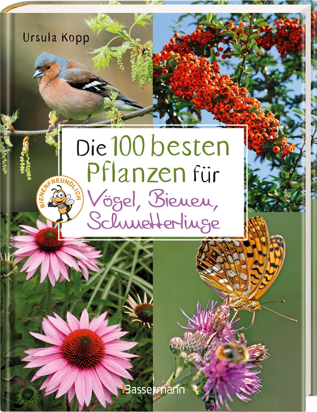 Beispielinhalt (Bild) Die 100 besten Pflanzen für Vögel, Bienen, Schmetterlinge