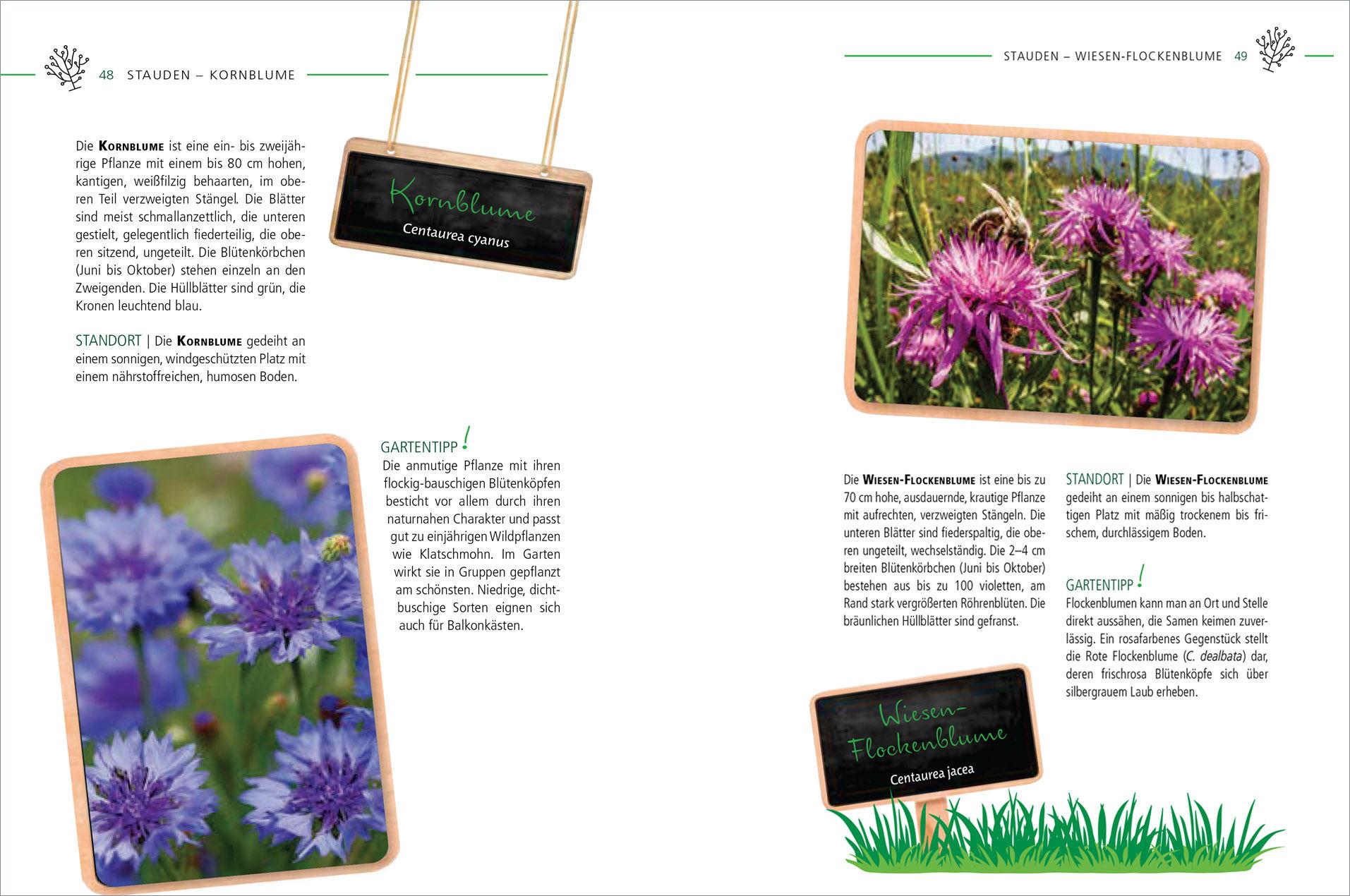 Beispielinhalt (Bild) Die 100 besten Pflanzen für Vögel, Bienen, Schmetterlinge