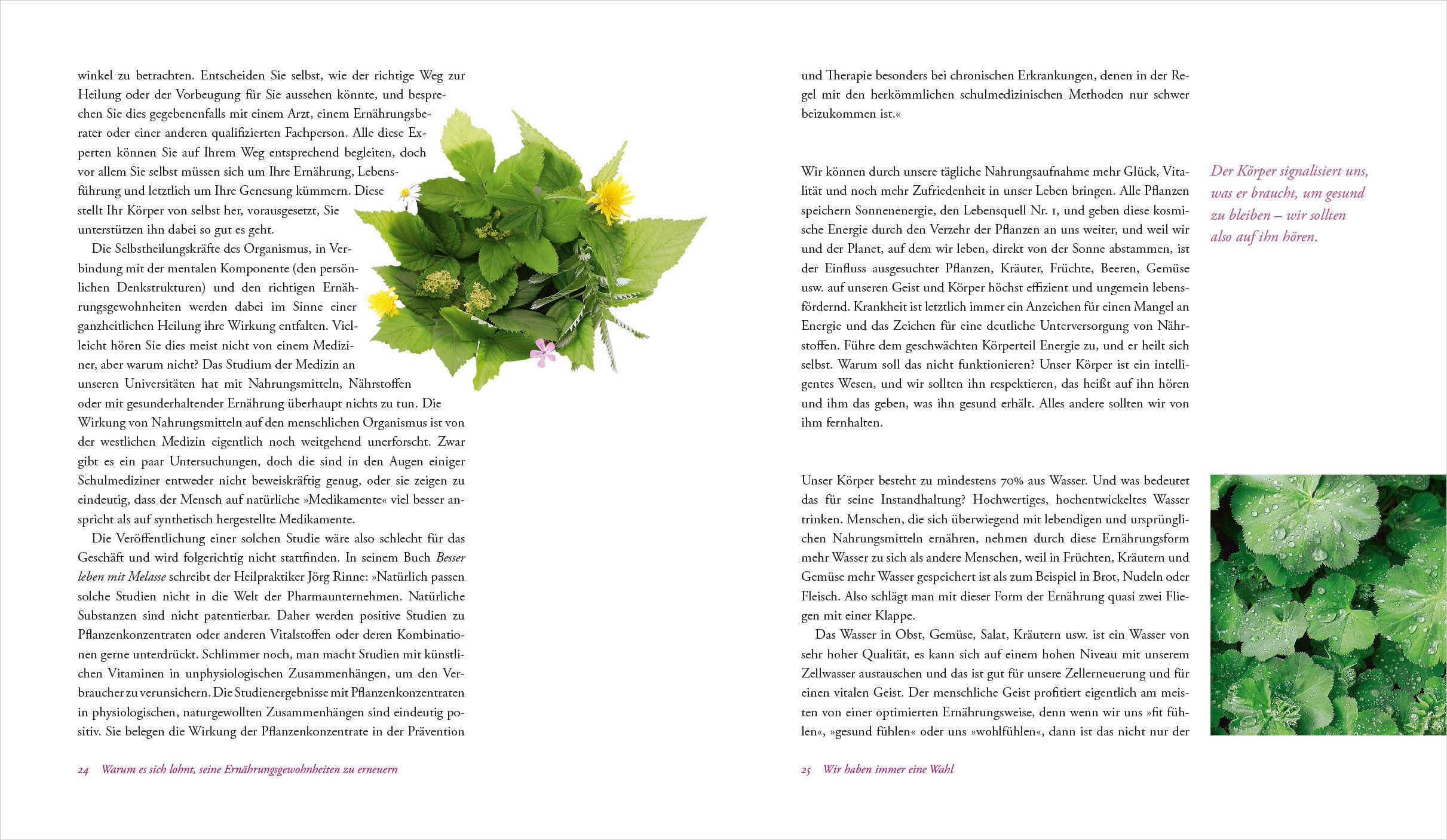 Beispielinhalt (Bild) Heilen mit Wildkräutern - Meine Lebensretter aus der Natur