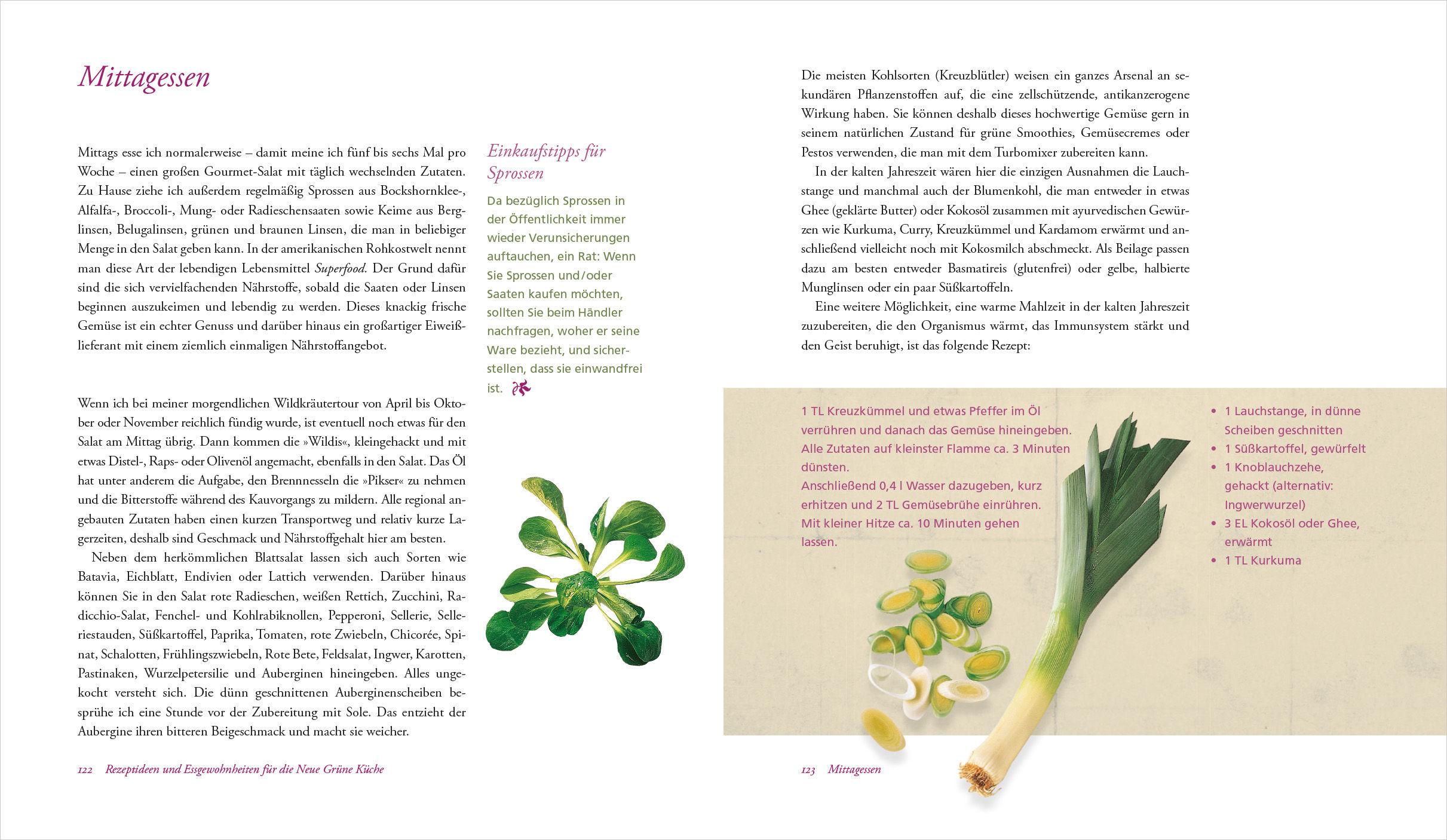 Beispielinhalt (Bild) Heilen mit Wildkräutern - Meine Lebensretter aus der Natur