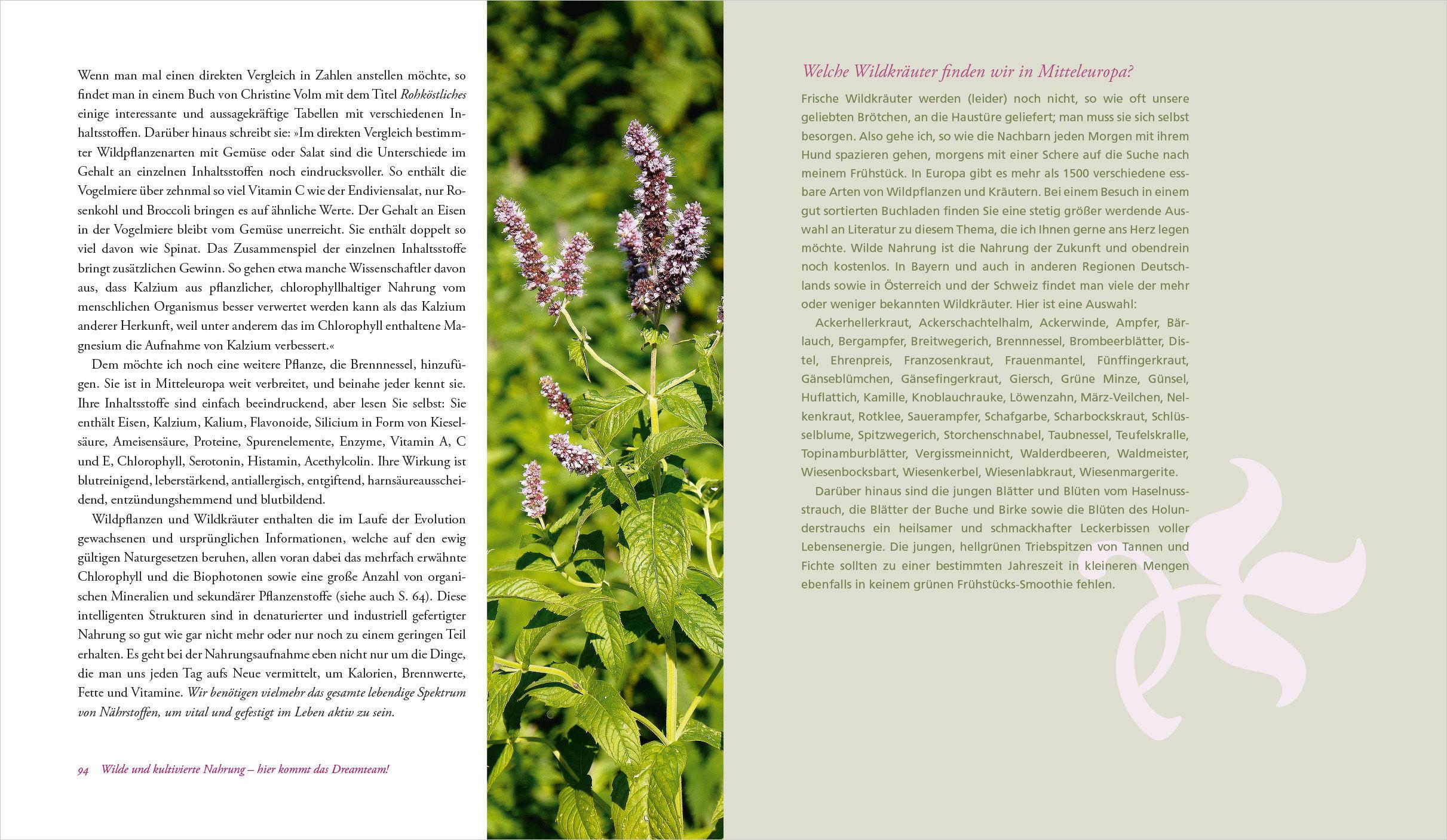 Beispielinhalt (Bild) Heilen mit Wildkräutern - Meine Lebensretter aus der Natur