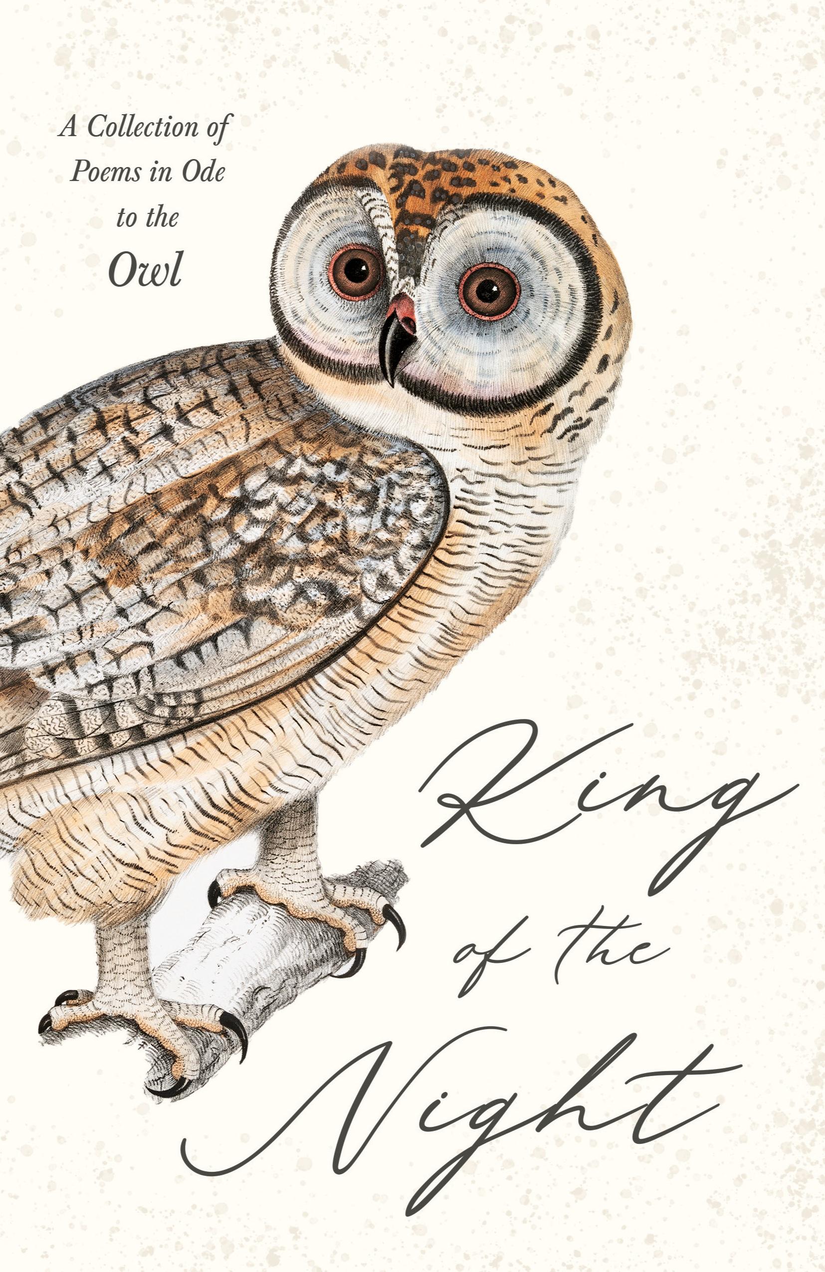Vorderes Coverbild King of the Night - A Collection of Poems in Ode to the Owl
