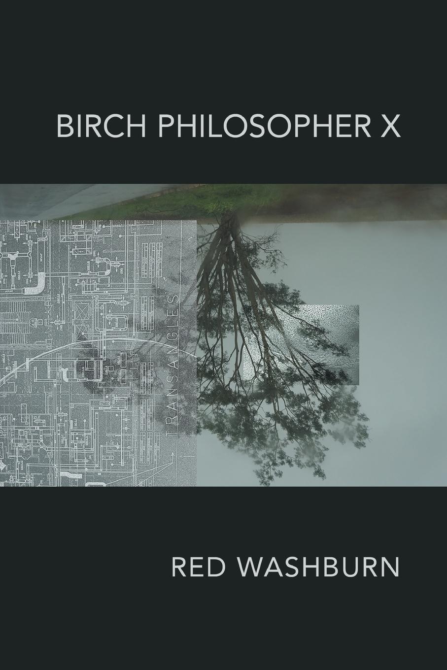 Vorderes Coverbild Birch Philosopher X