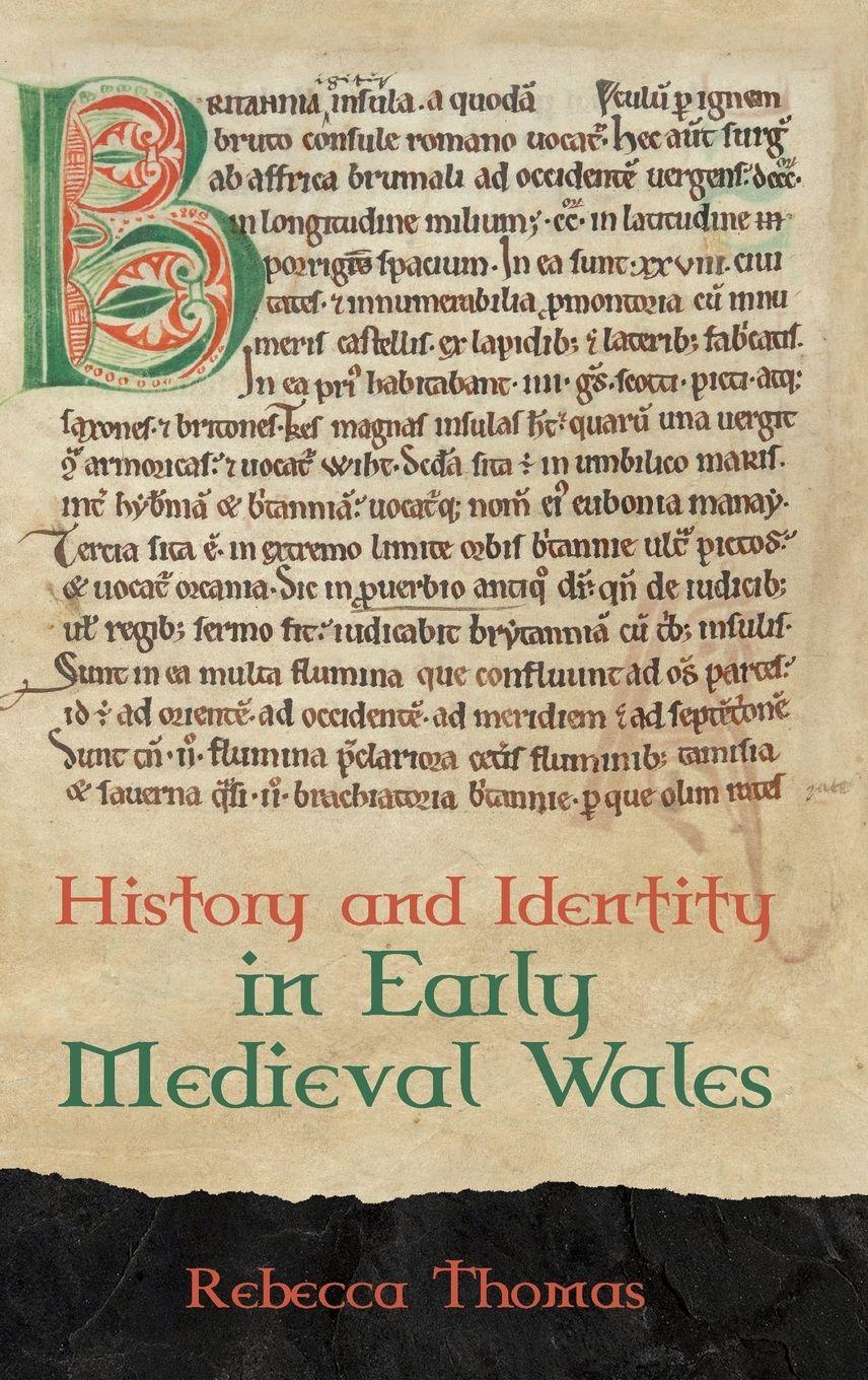 Vorderes Coverbild History and Identity in Early Medieval Wales