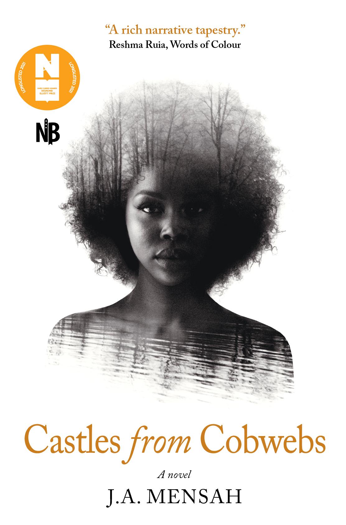 Vorderes Coverbild Castles from Cobwebs