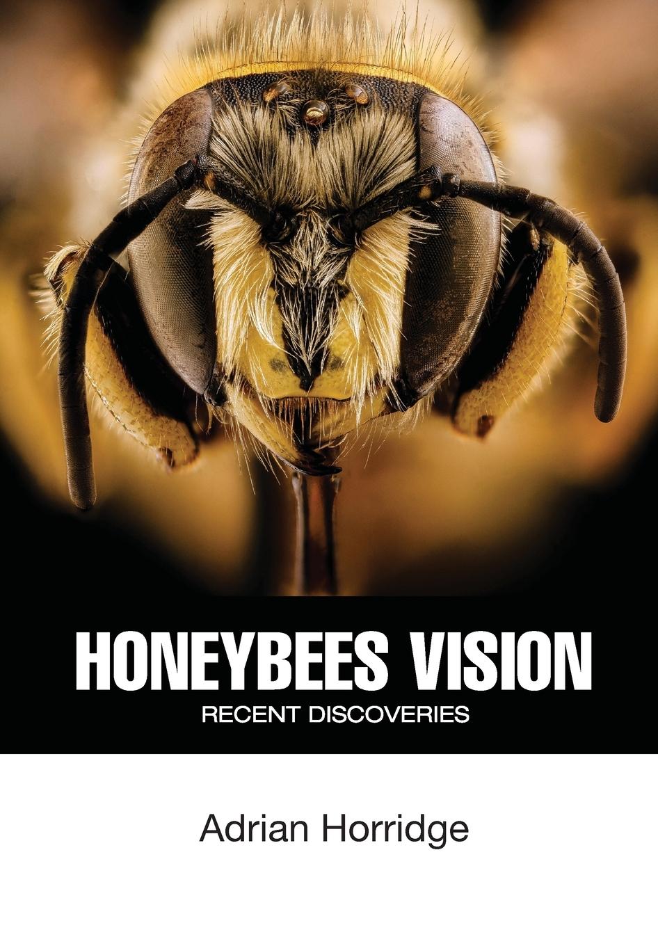 Vorderes Coverbild Honeybees Vision