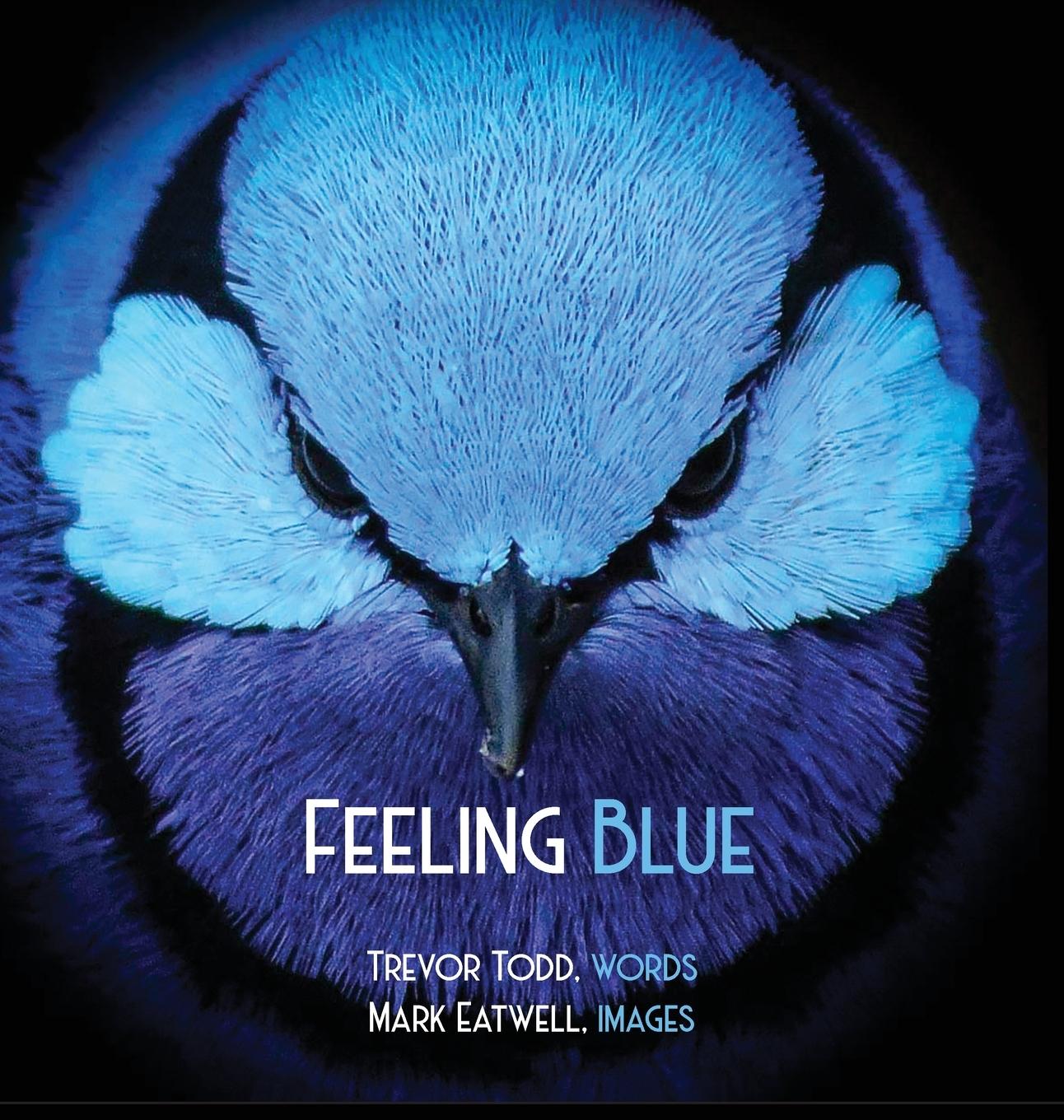 Vorderes Coverbild Feeling Blue