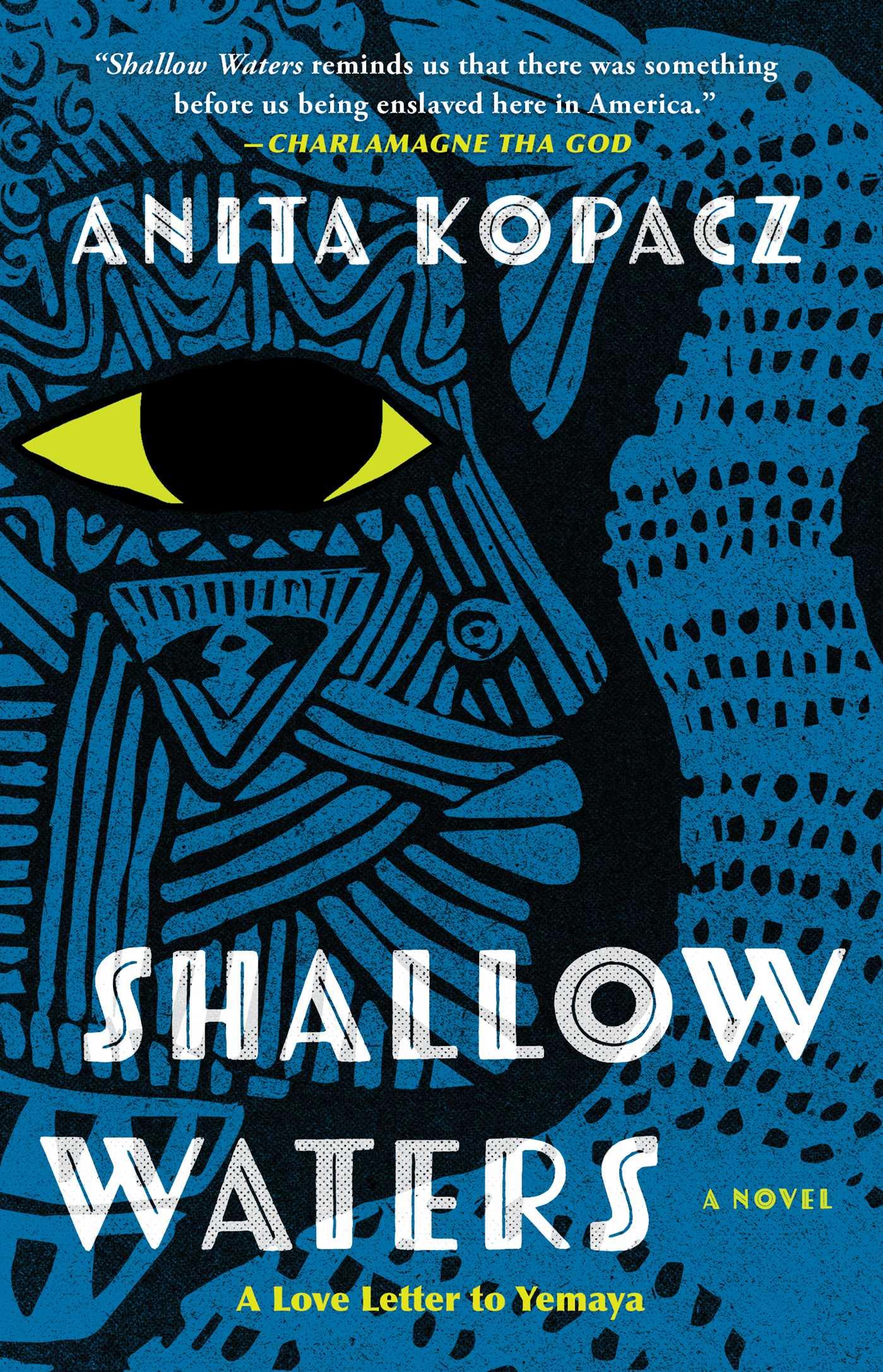 Vorderes Coverbild Shallow Waters