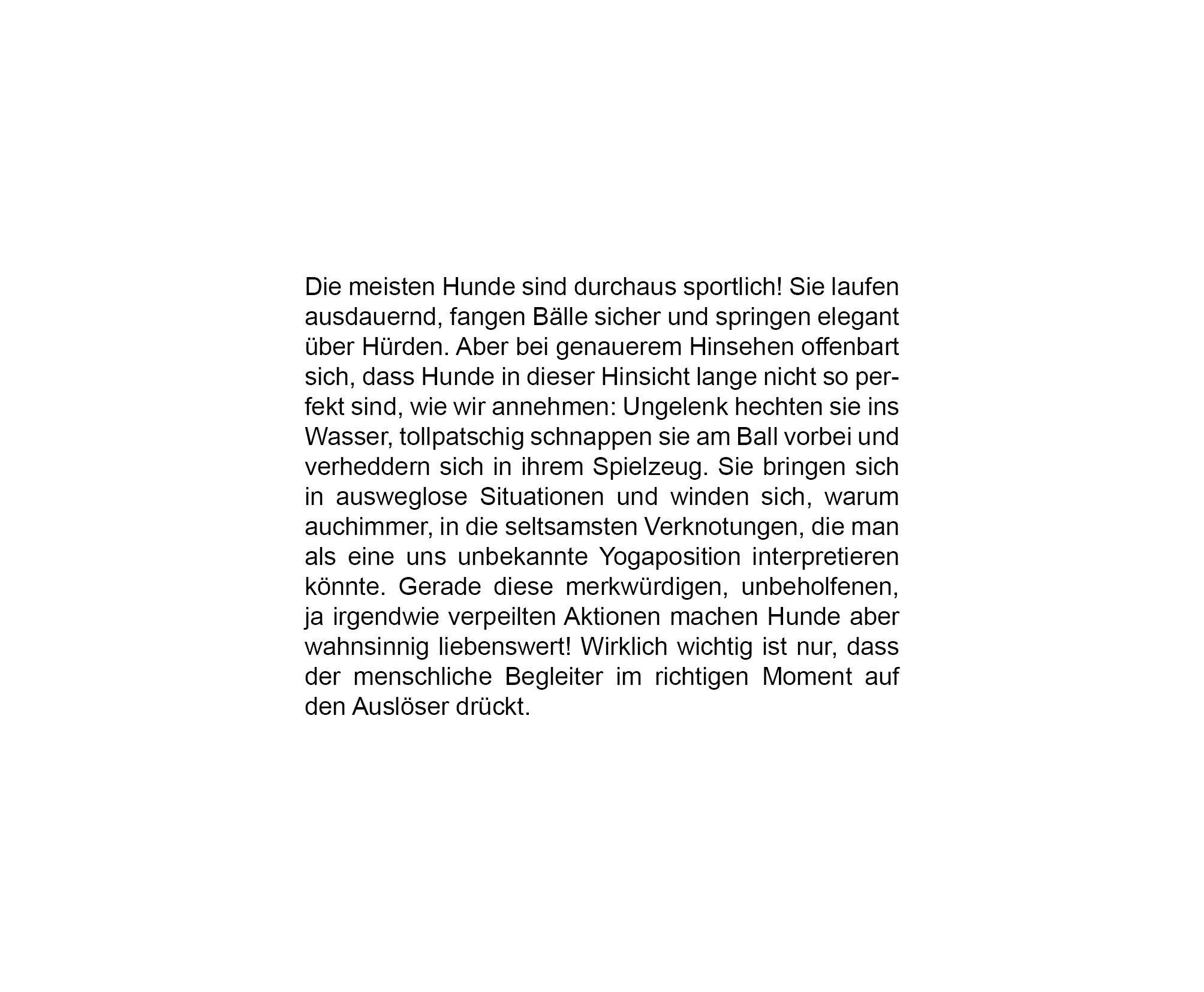 Beispielinhalt (Bild) Der herabschauende Hund