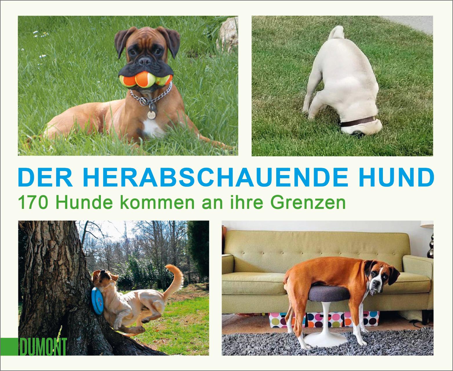 Vorderes Coverbild Der herabschauende Hund
