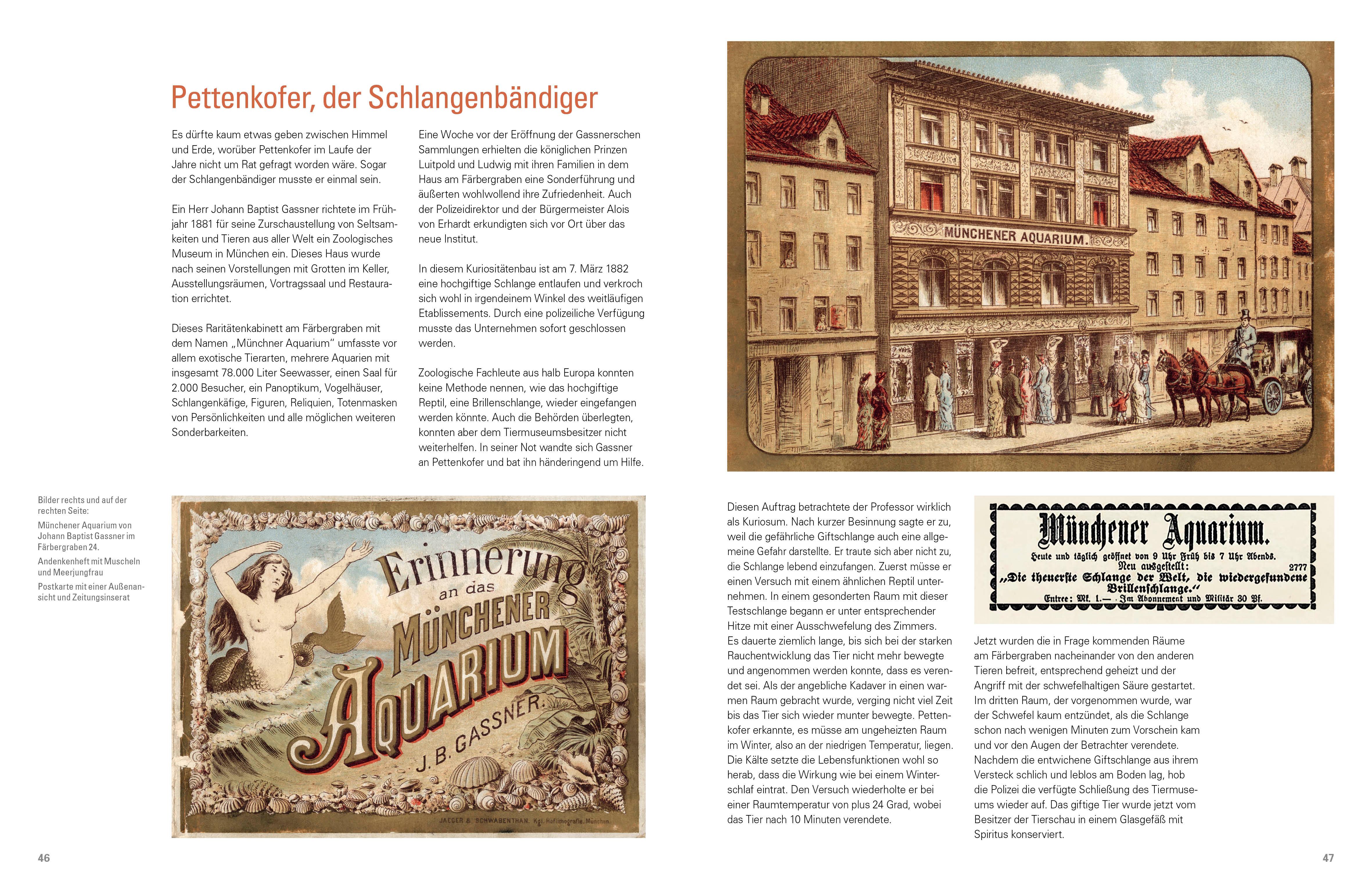 Beispielinhalt (Bild) Meine Verehrung Exzellenz !