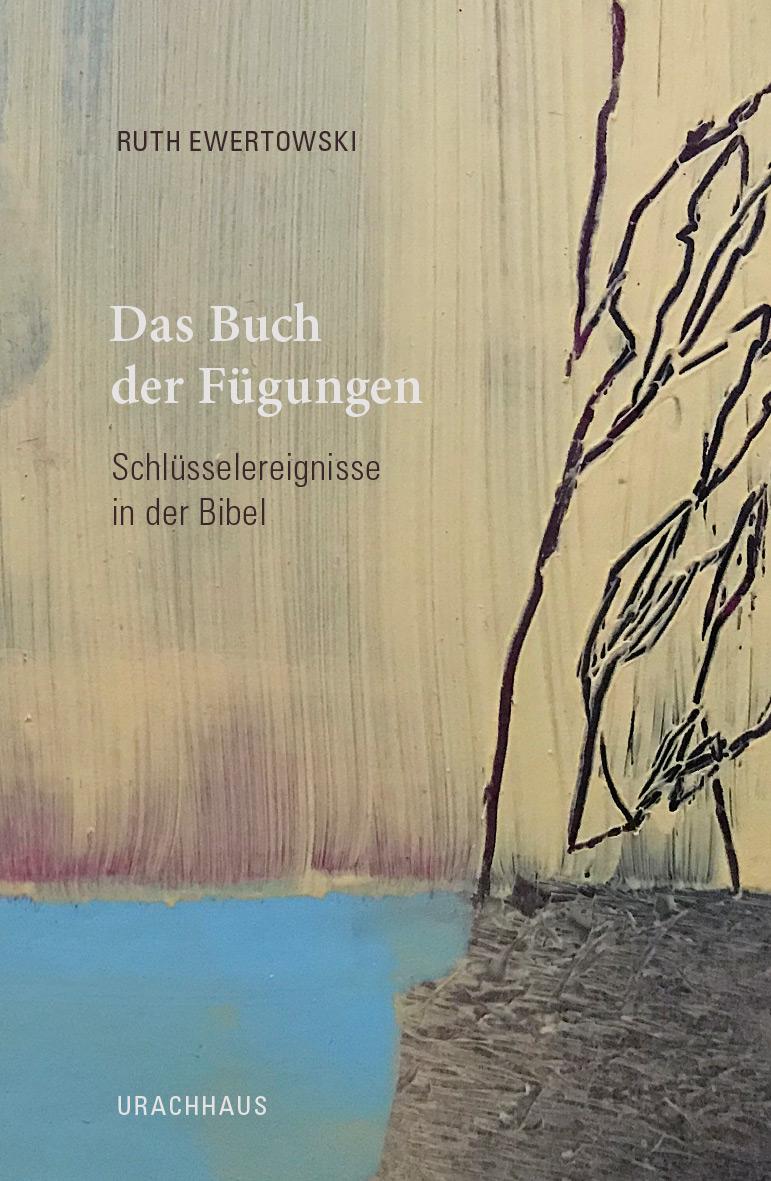 Vorderes Coverbild Das Buch der Fügungen